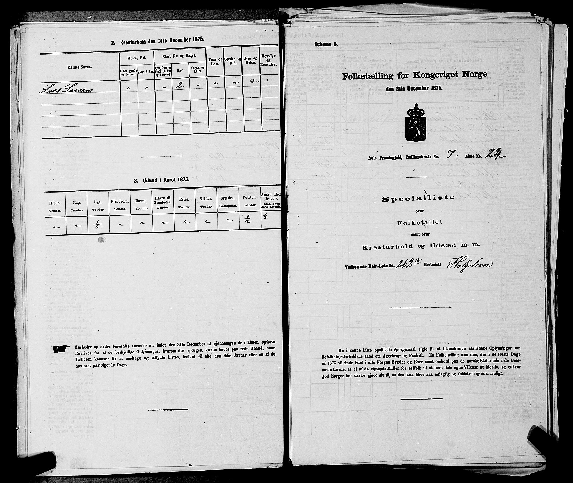 SAKO, Folketelling 1875 for 0619P Ål prestegjeld, 1875, s. 883