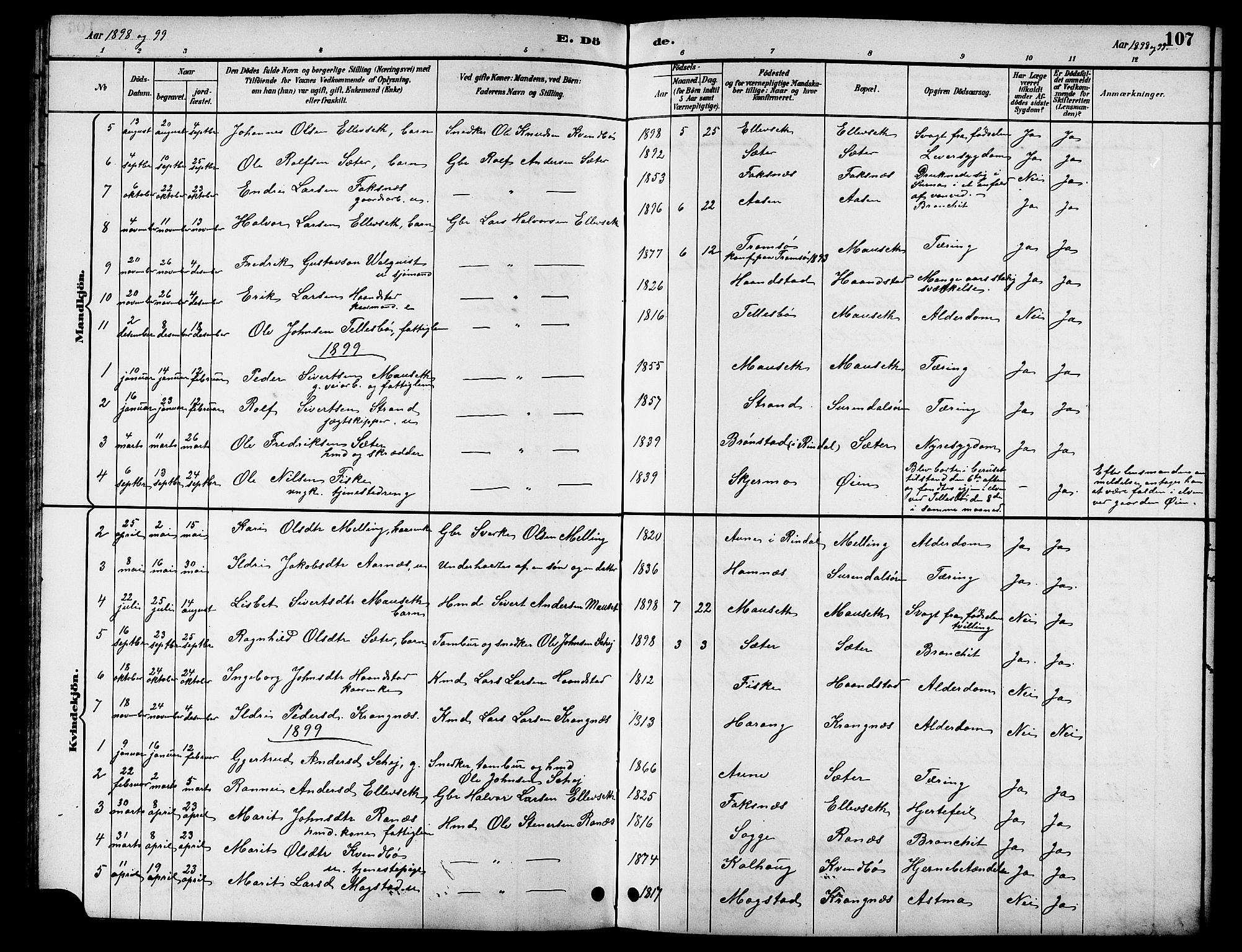 Ministerialprotokoller, klokkerbøker og fødselsregistre - Møre og Romsdal, AV/SAT-A-1454/596/L1058: Klokkerbok nr. 596C01, 1891-1907, s. 107