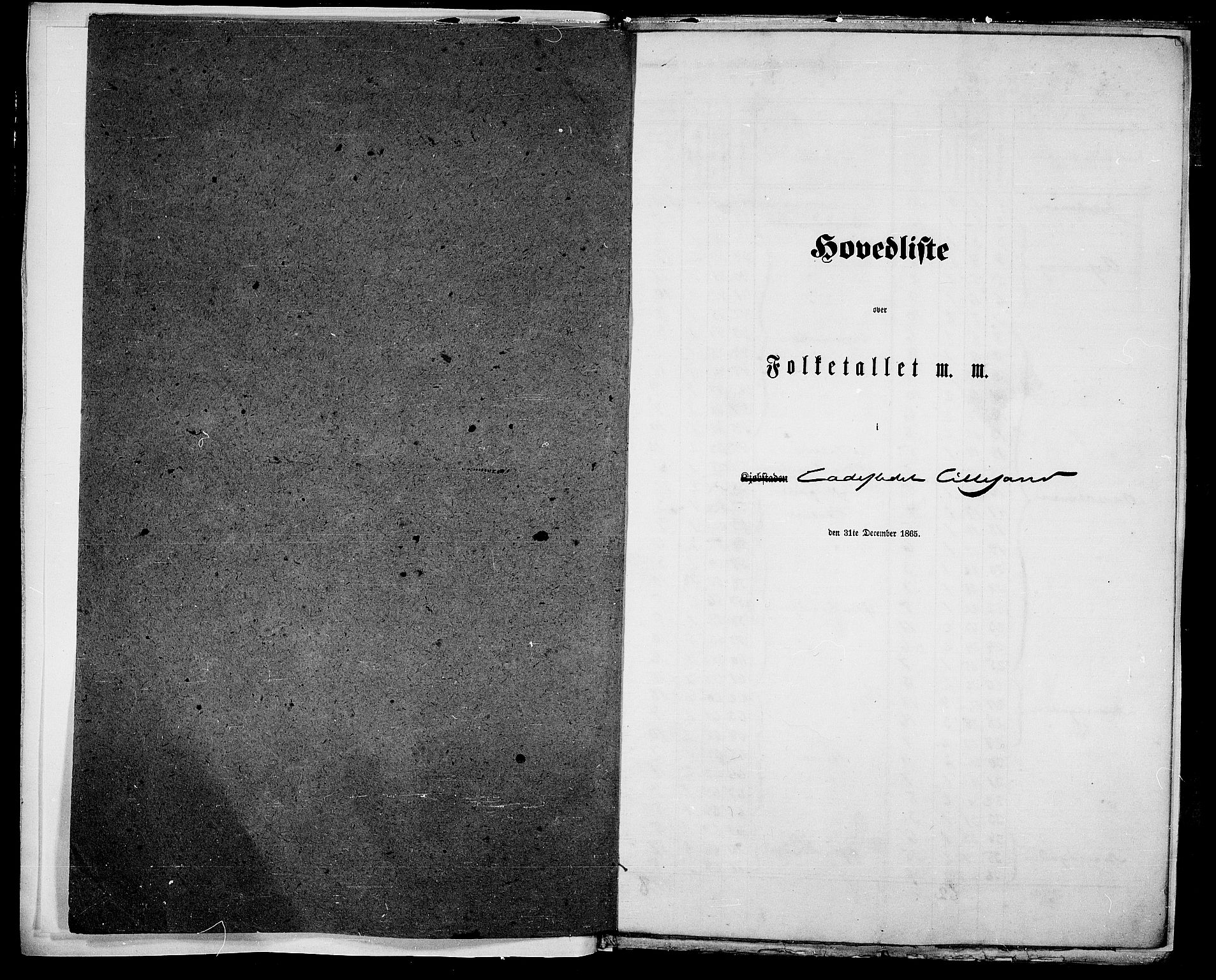 RA, Folketelling 1865 for 0905B Vestre Moland prestegjeld, Lillesand ladested, 1865, s. 5