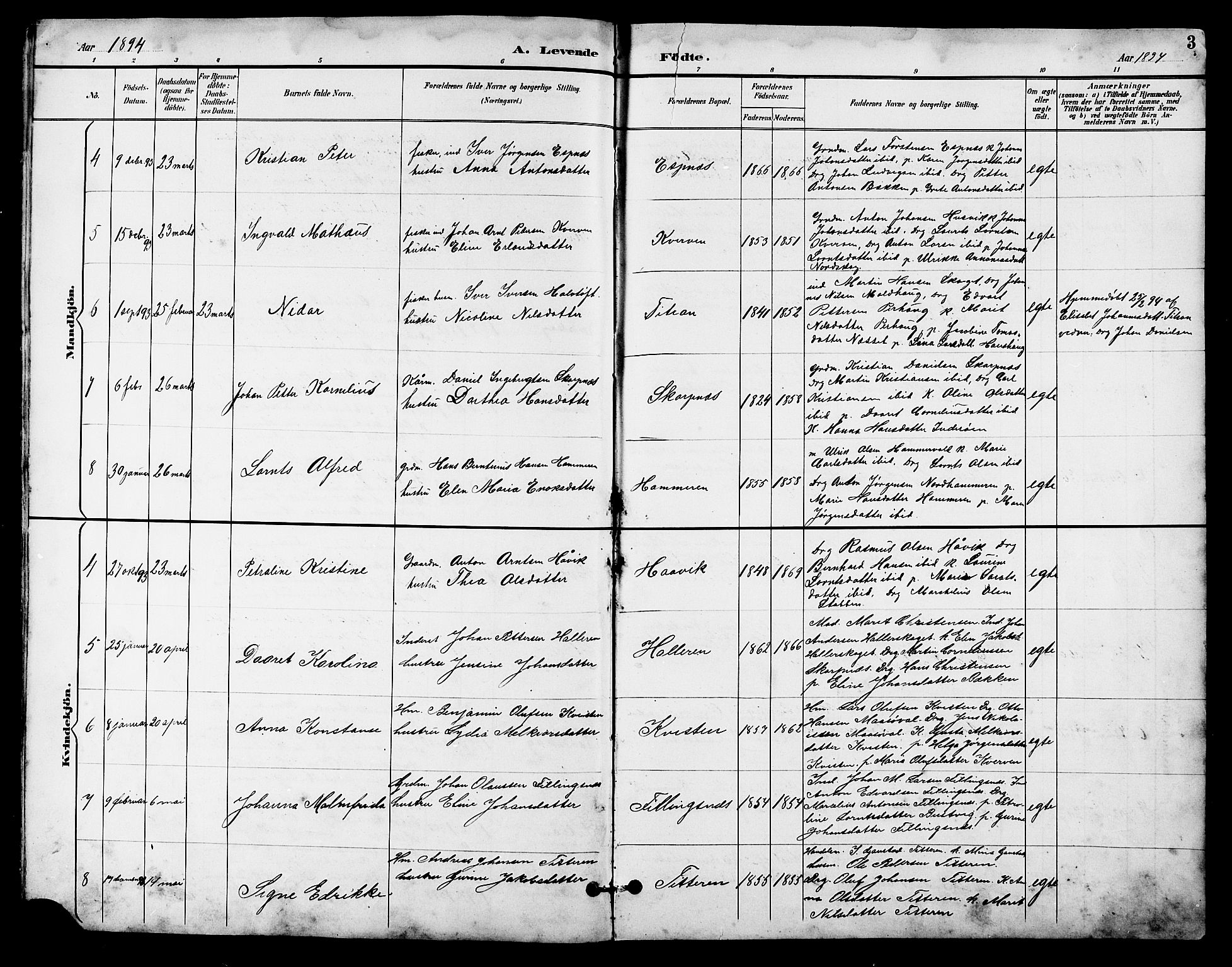 Ministerialprotokoller, klokkerbøker og fødselsregistre - Sør-Trøndelag, AV/SAT-A-1456/641/L0598: Klokkerbok nr. 641C02, 1893-1910, s. 3