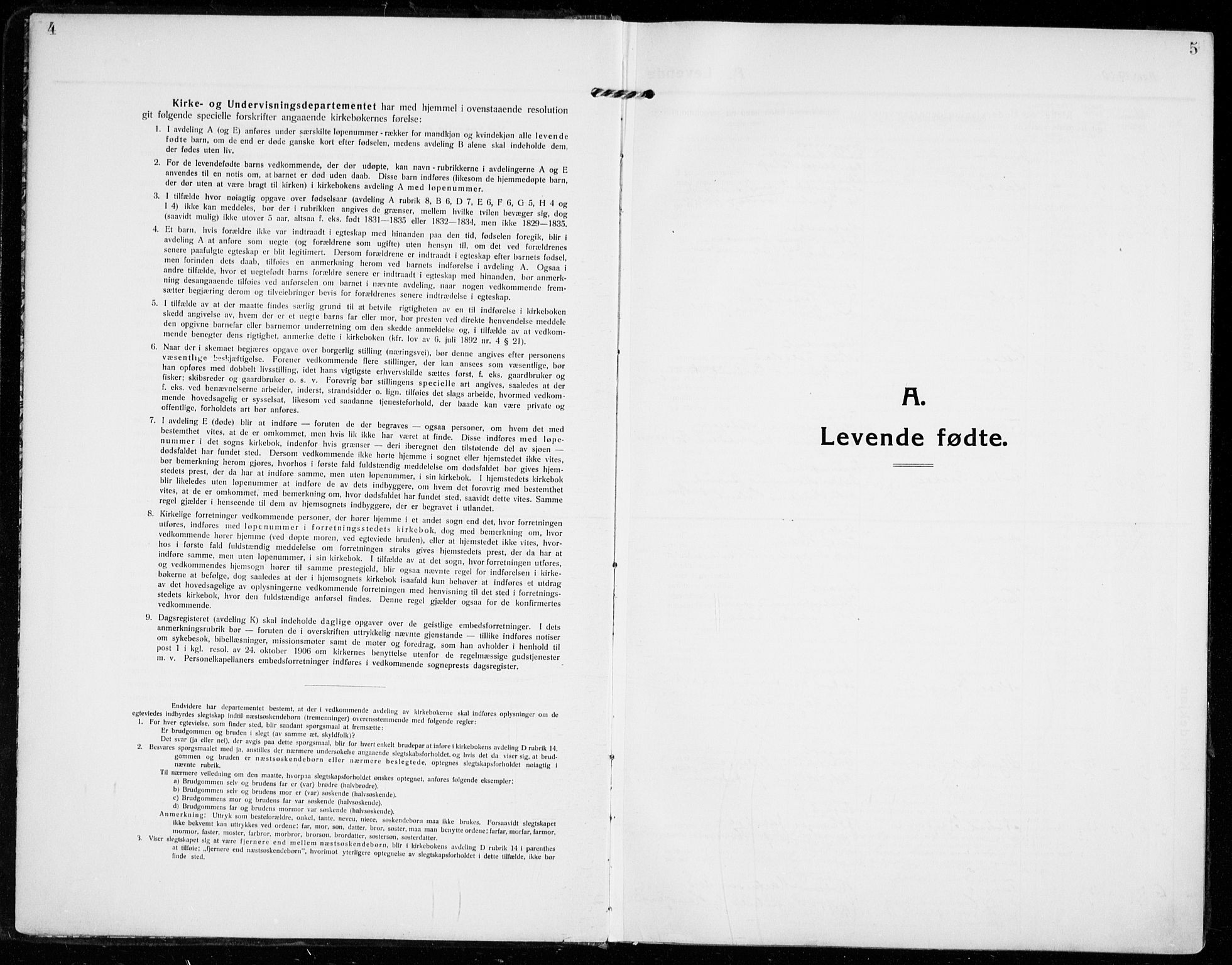 Strømsgodset kirkebøker, AV/SAKO-A-324/F/Fa/L0002: Ministerialbok nr. 2, 1910-1920, s. 4-5