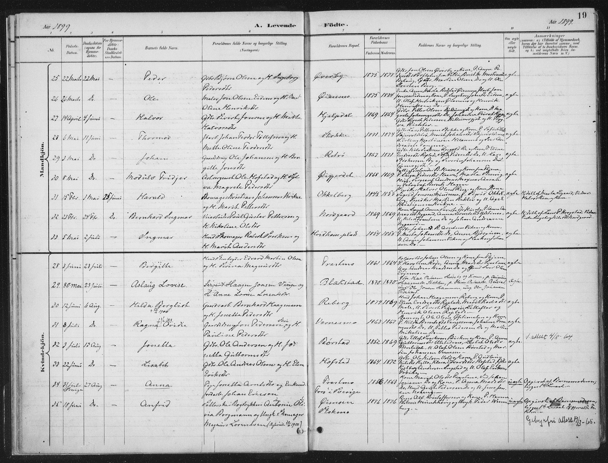 Ministerialprotokoller, klokkerbøker og fødselsregistre - Nord-Trøndelag, AV/SAT-A-1458/709/L0082: Ministerialbok nr. 709A22, 1896-1916, s. 19