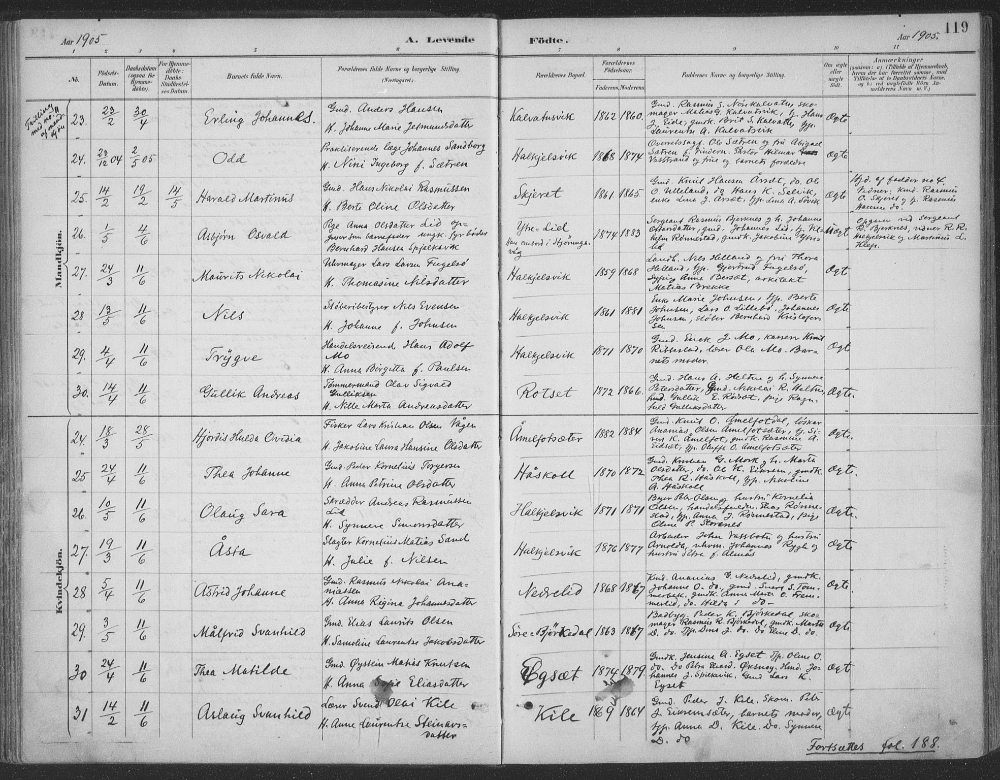 Ministerialprotokoller, klokkerbøker og fødselsregistre - Møre og Romsdal, AV/SAT-A-1454/511/L0142: Ministerialbok nr. 511A09, 1891-1905, s. 119