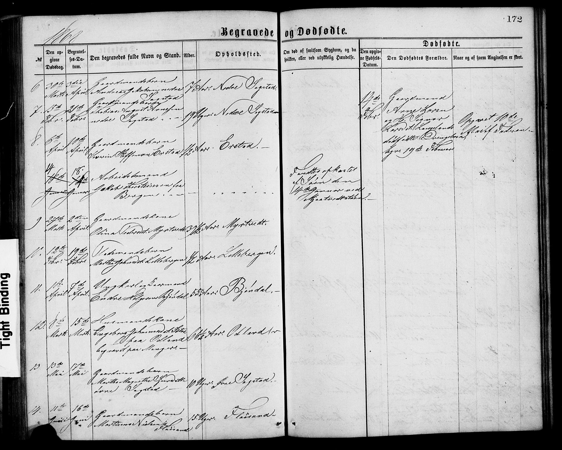 Alversund Sokneprestembete, AV/SAB-A-73901/H/Ha/Hab: Klokkerbok nr. C 2, 1867-1880, s. 172