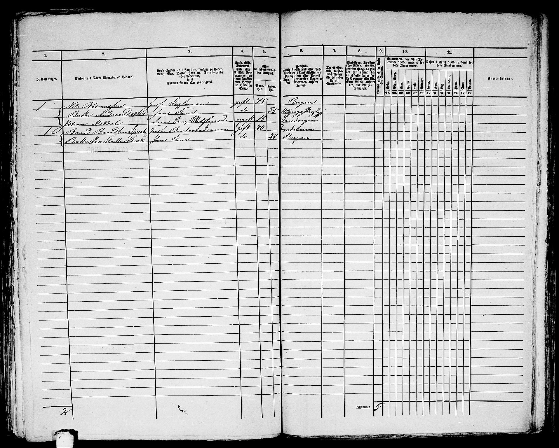 RA, Folketelling 1865 for 1281L Bergen Landdistrikt, Domkirkens landsokn og Korskirkens landsokn, 1865, s. 252