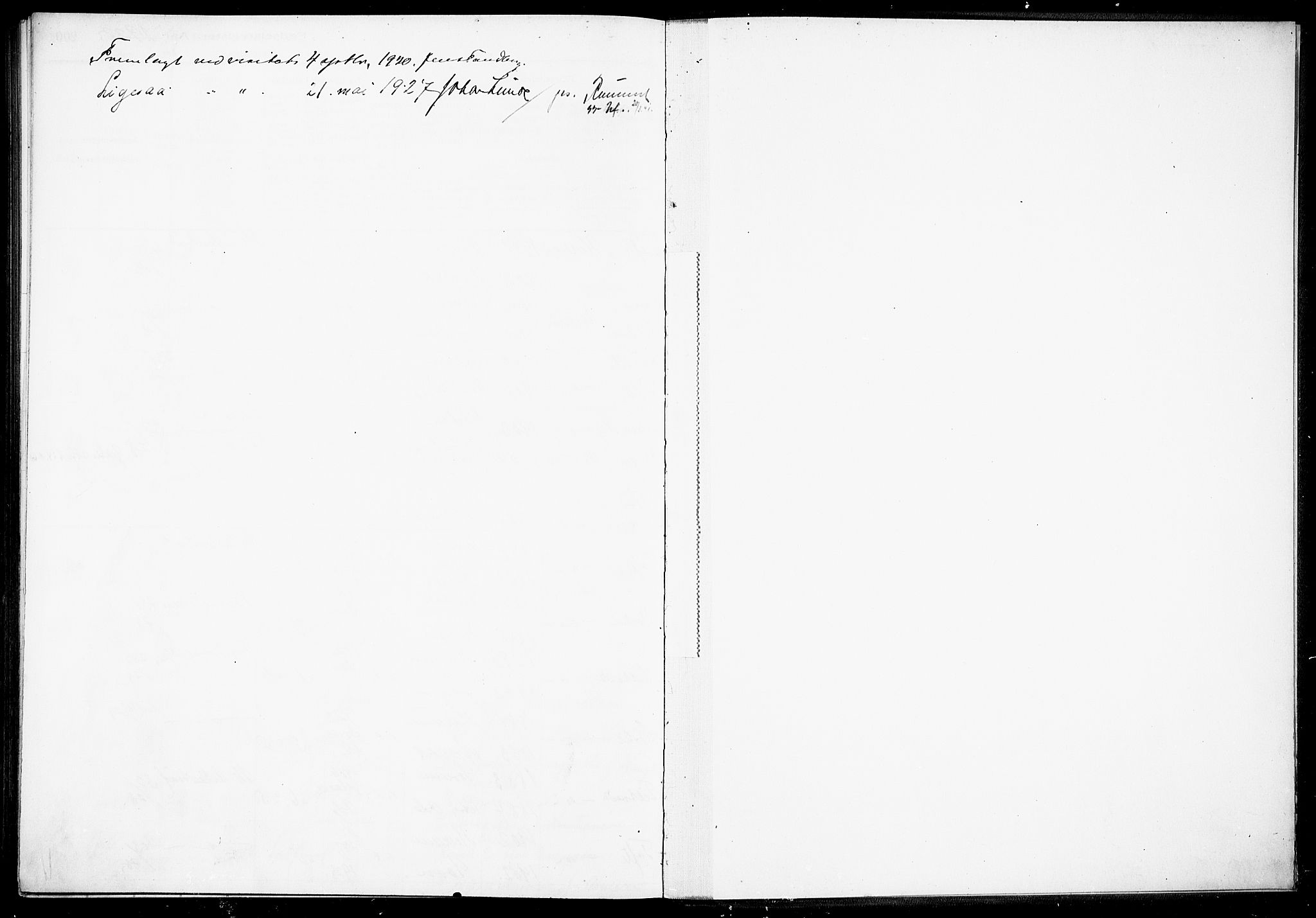 Hurum kirkebøker, AV/SAKO-A-229/J/Ja/L0001: Fødselsregister nr. 1, 1916-1928, s. 201