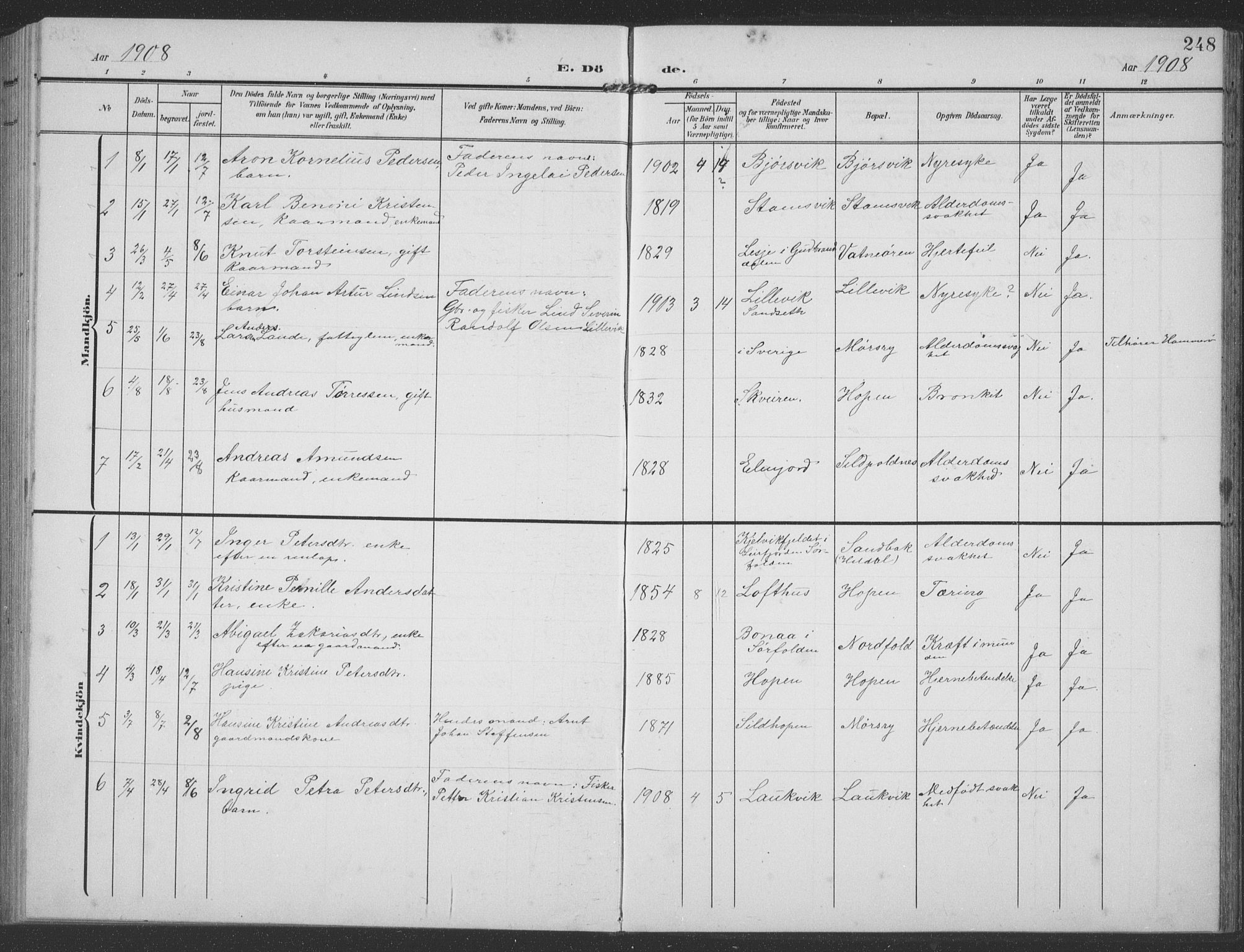 Ministerialprotokoller, klokkerbøker og fødselsregistre - Nordland, AV/SAT-A-1459/858/L0835: Klokkerbok nr. 858C02, 1904-1940, s. 248