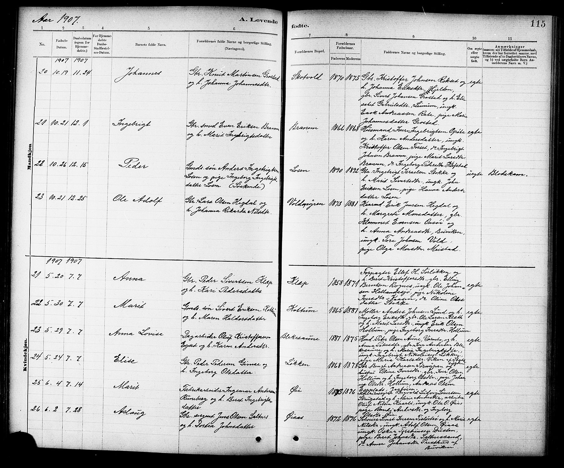 Ministerialprotokoller, klokkerbøker og fødselsregistre - Sør-Trøndelag, AV/SAT-A-1456/691/L1094: Klokkerbok nr. 691C05, 1879-1911, s. 115