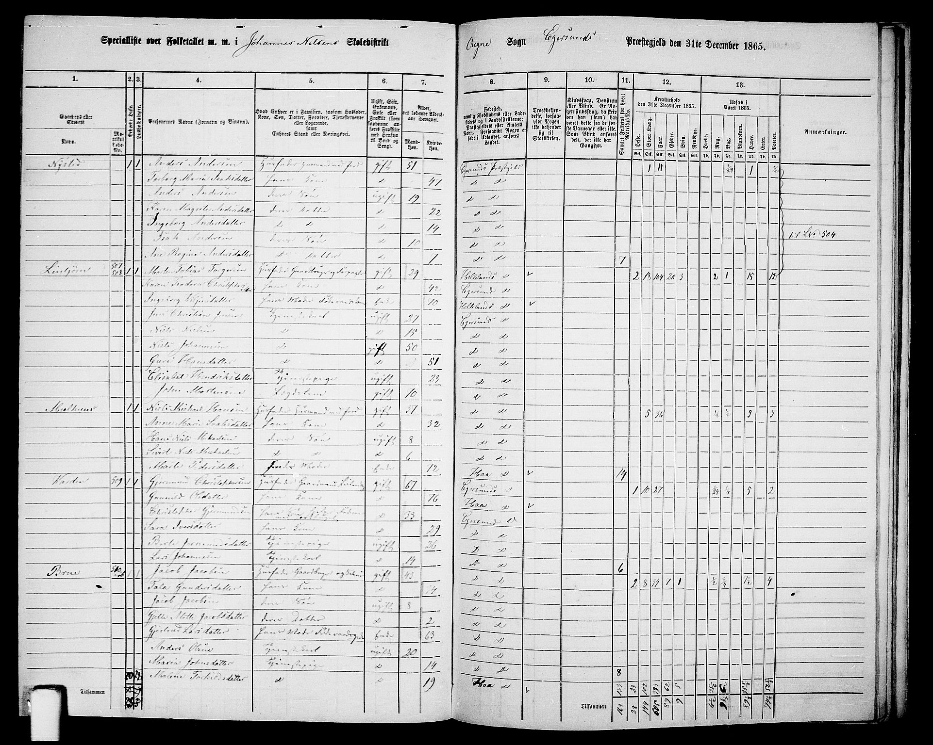 RA, Folketelling 1865 for 1116L Eigersund prestegjeld, Eigersund landsokn og Ogna sokn, 1865, s. 136