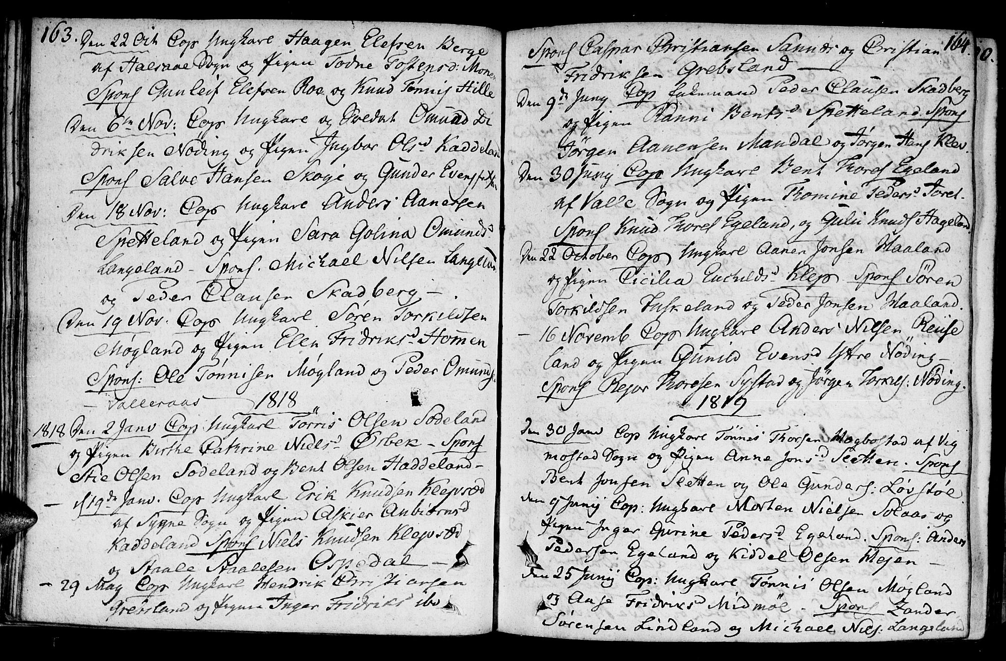 Holum sokneprestkontor, AV/SAK-1111-0022/F/Fa/Faa/L0003: Ministerialbok nr. A 3, 1780-1821, s. 163-164