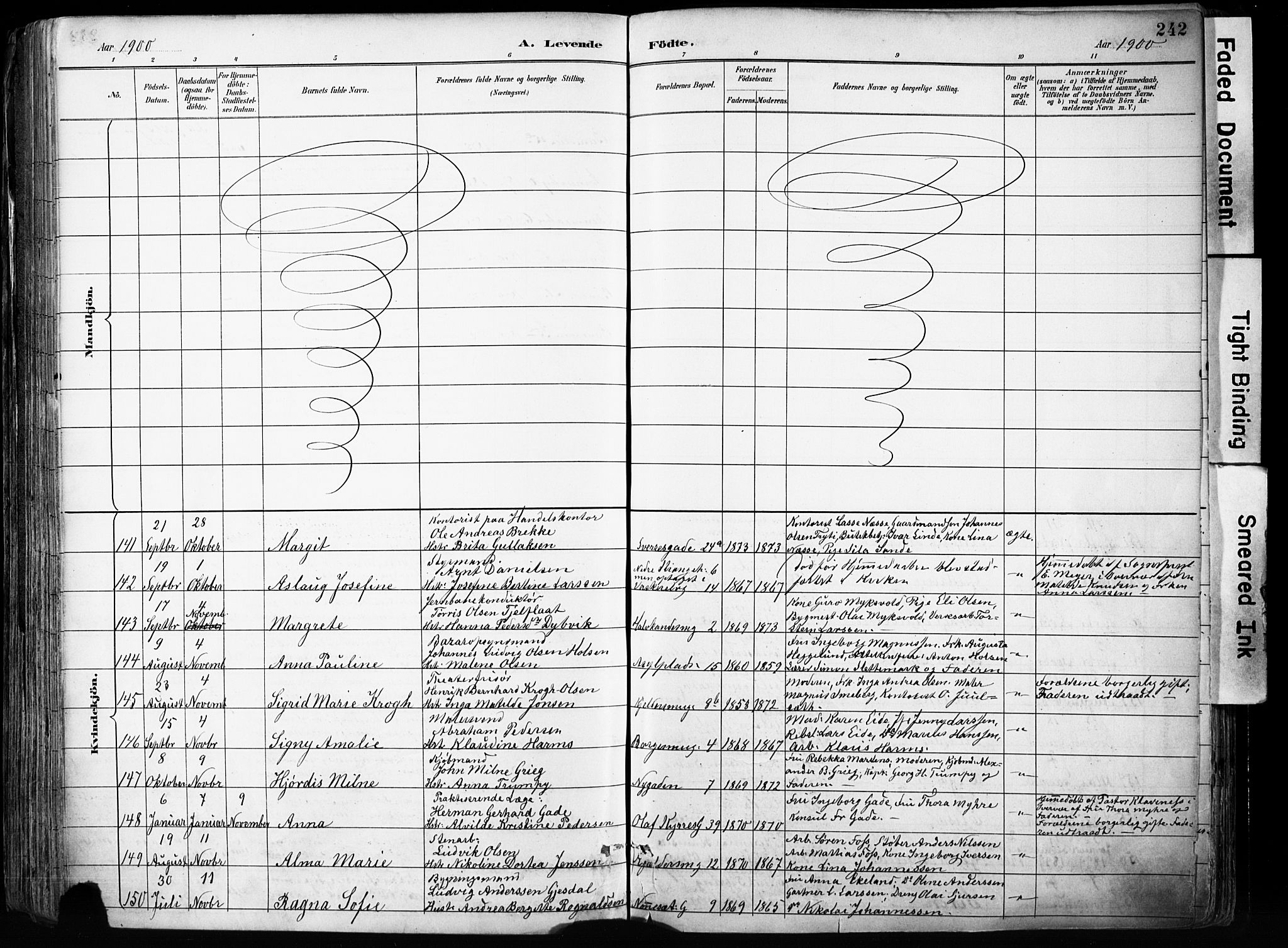 Domkirken sokneprestembete, AV/SAB-A-74801/H/Haa/L0024: Ministerialbok nr. B 7, 1888-1903, s. 242