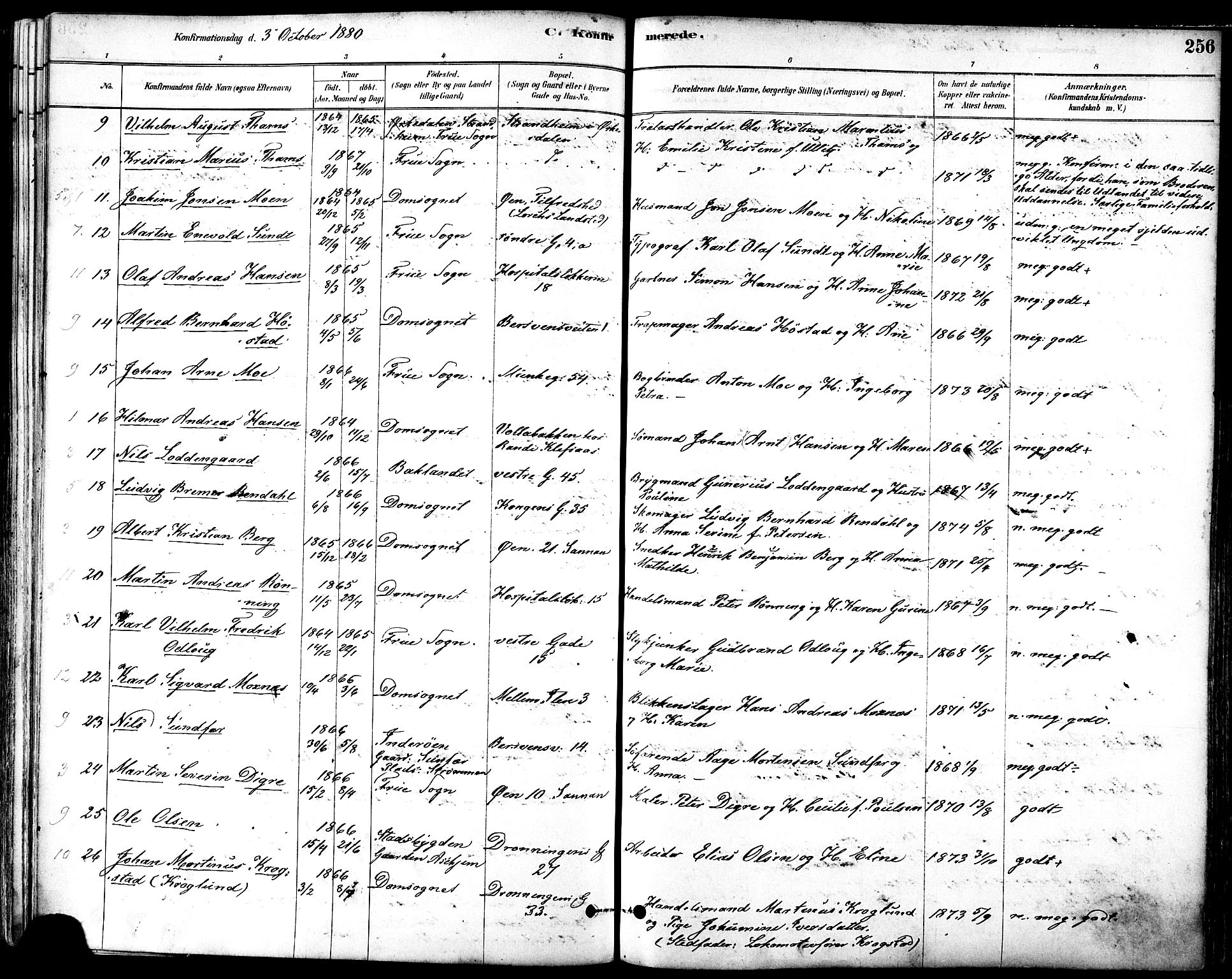Ministerialprotokoller, klokkerbøker og fødselsregistre - Sør-Trøndelag, SAT/A-1456/601/L0057: Ministerialbok nr. 601A25, 1877-1891, s. 256