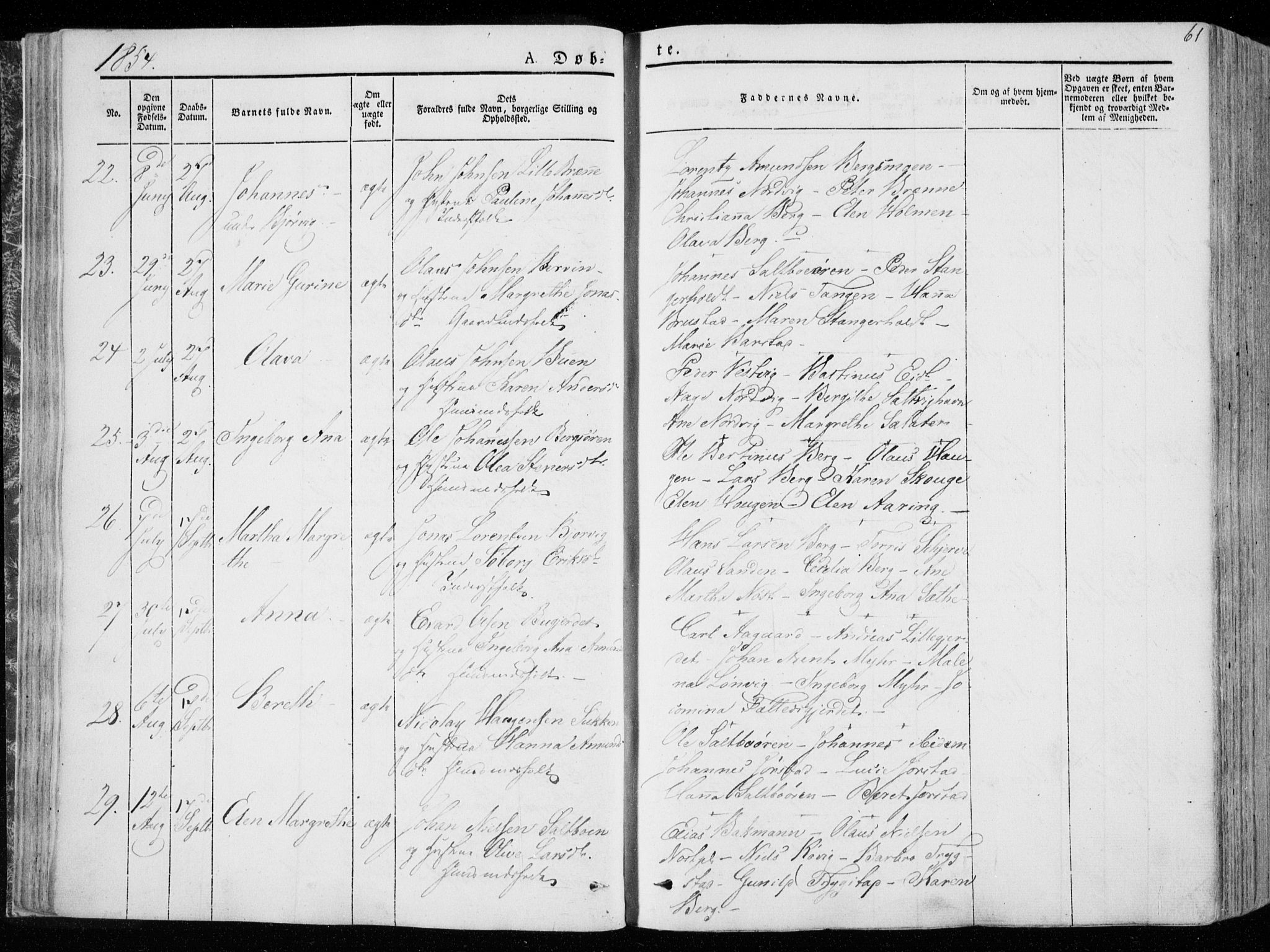 Ministerialprotokoller, klokkerbøker og fødselsregistre - Nord-Trøndelag, AV/SAT-A-1458/722/L0218: Ministerialbok nr. 722A05, 1843-1868, s. 61