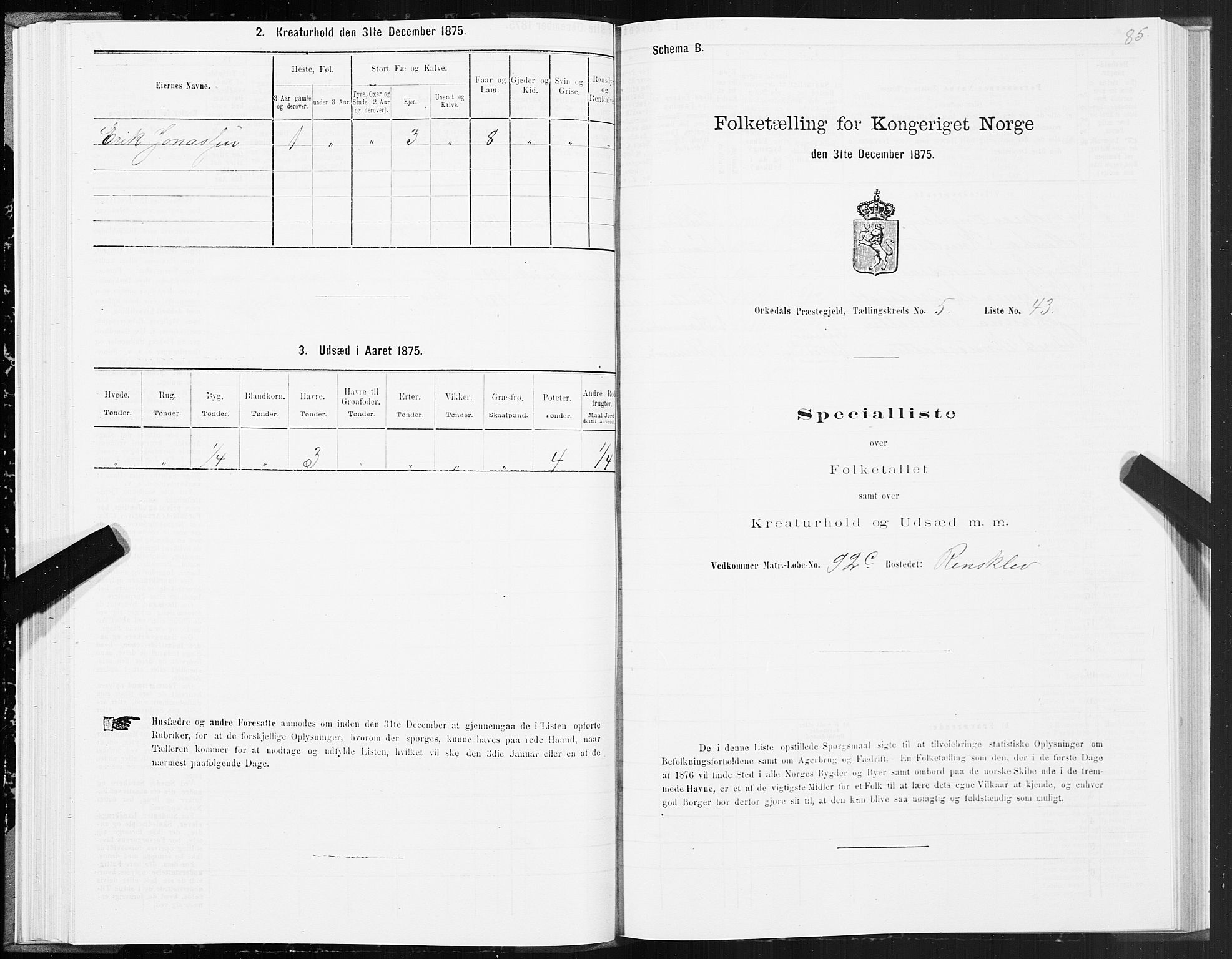 SAT, Folketelling 1875 for 1638P Orkdal prestegjeld, 1875, s. 3085