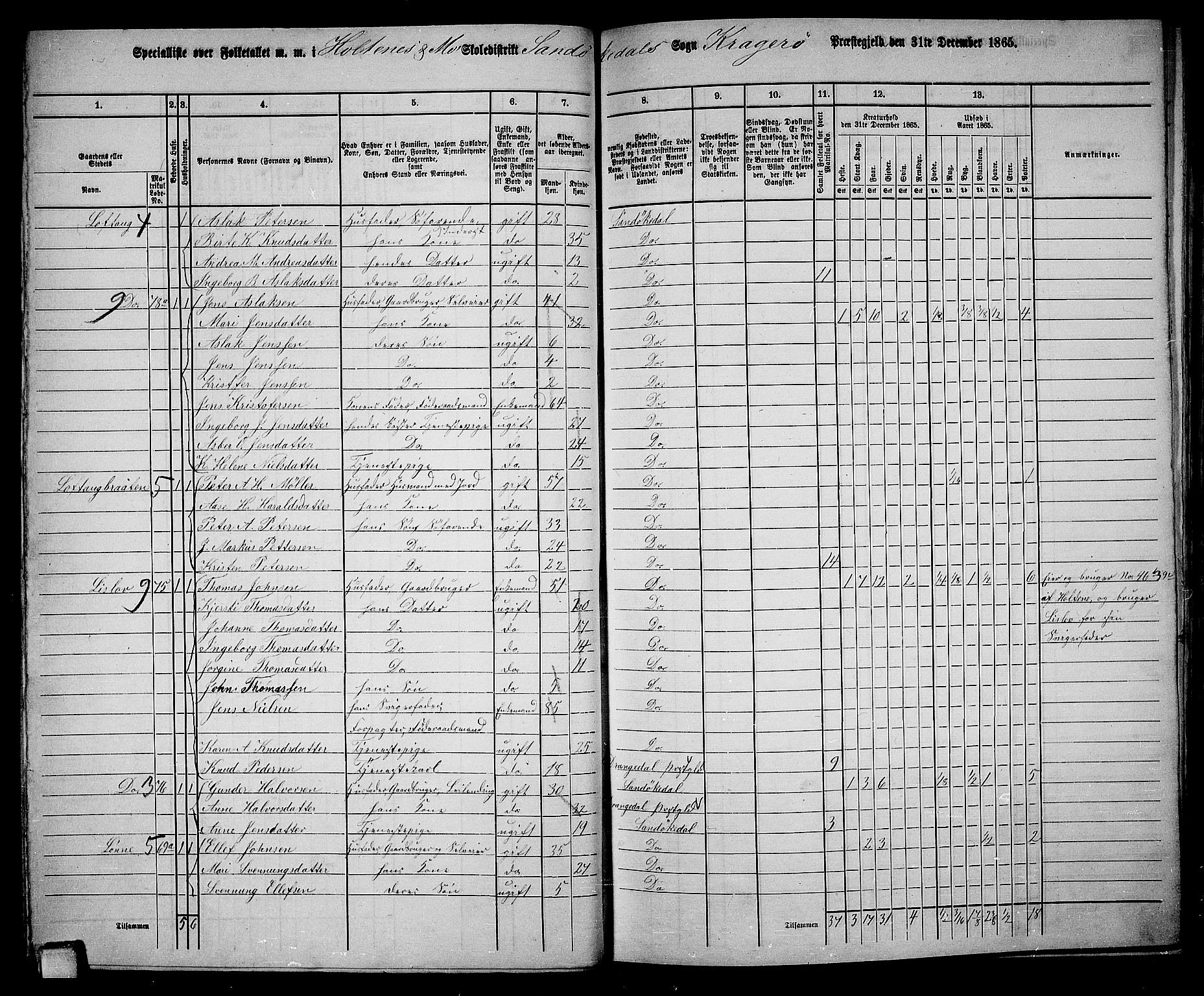 RA, Folketelling 1865 for 0816L Kragerø prestegjeld, Sannidal sokn og Skåtøy sokn, 1865, s. 40