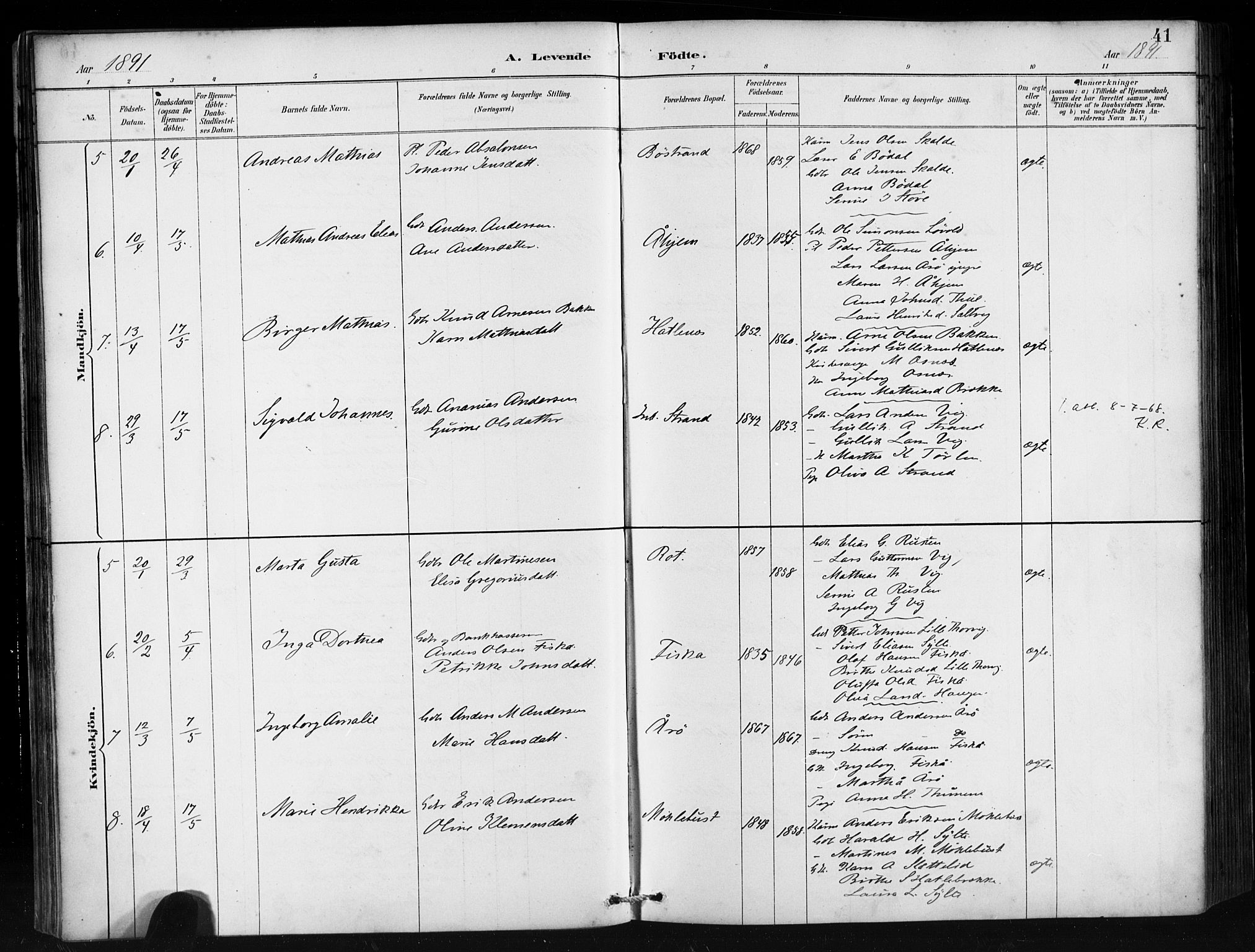 Ministerialprotokoller, klokkerbøker og fødselsregistre - Møre og Romsdal, AV/SAT-A-1454/501/L0008: Ministerialbok nr. 501A08, 1885-1901, s. 41