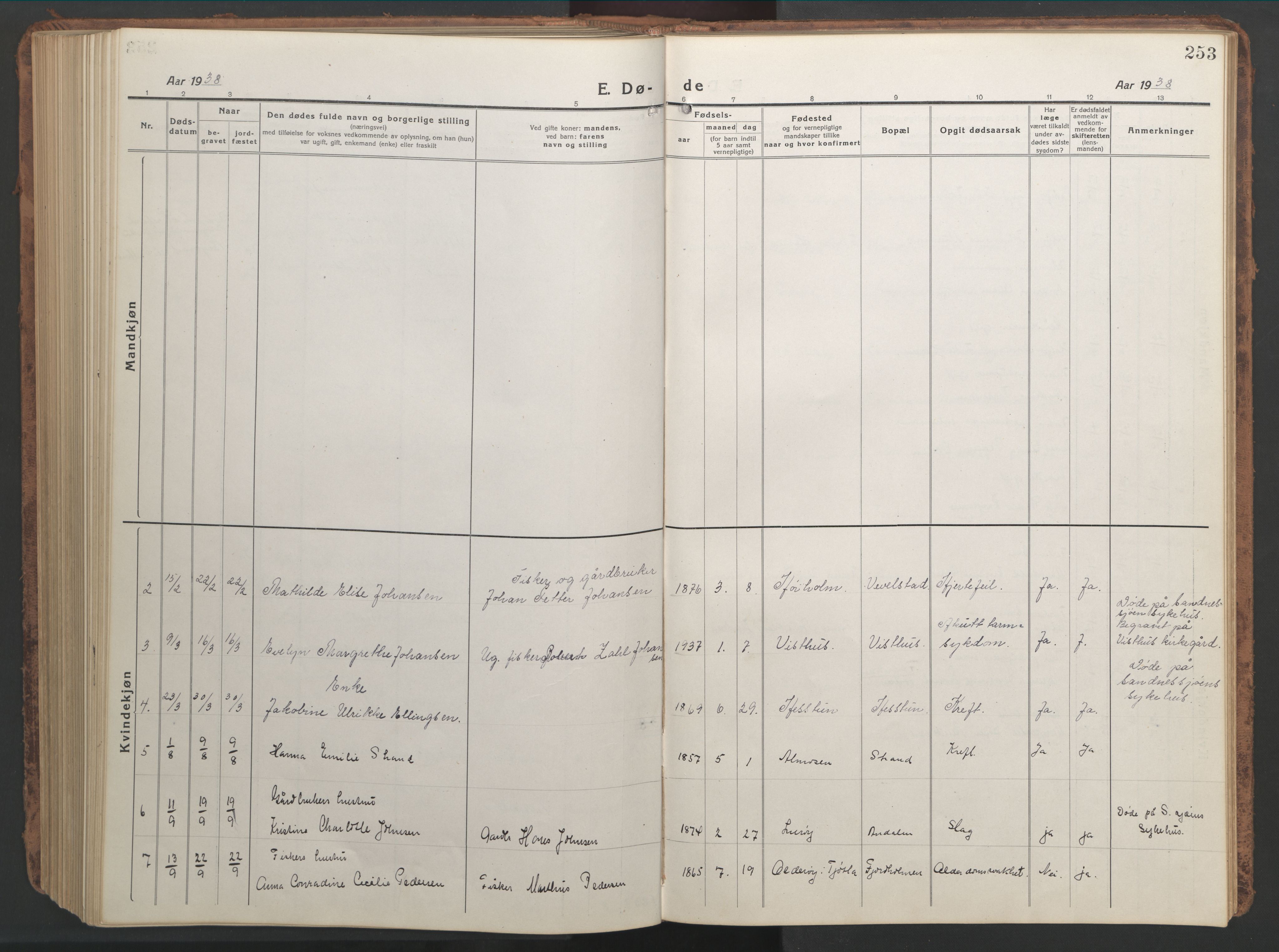 Ministerialprotokoller, klokkerbøker og fødselsregistre - Nordland, AV/SAT-A-1459/819/L0278: Klokkerbok nr. 819C04, 1917-1967, s. 253