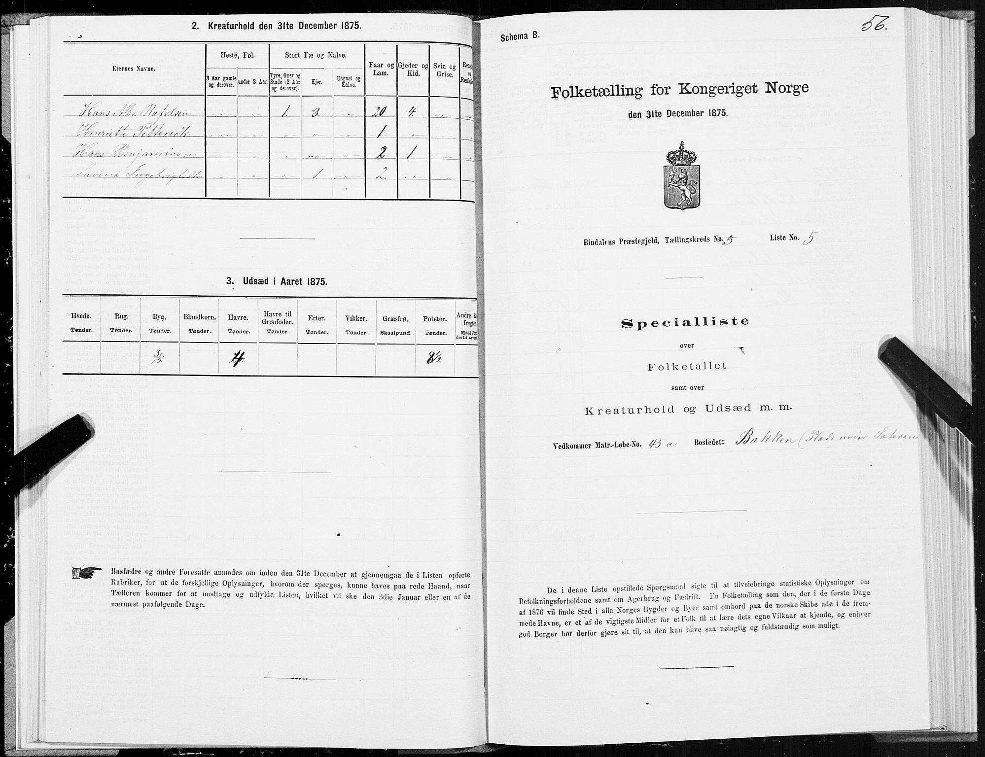 SAT, Folketelling 1875 for 1811P Bindal prestegjeld, 1875, s. 2056