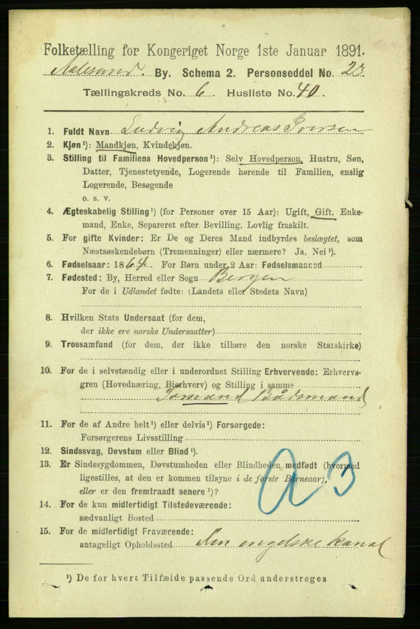 RA, Folketelling 1891 for 1501 Ålesund kjøpstad, 1891, s. 5273