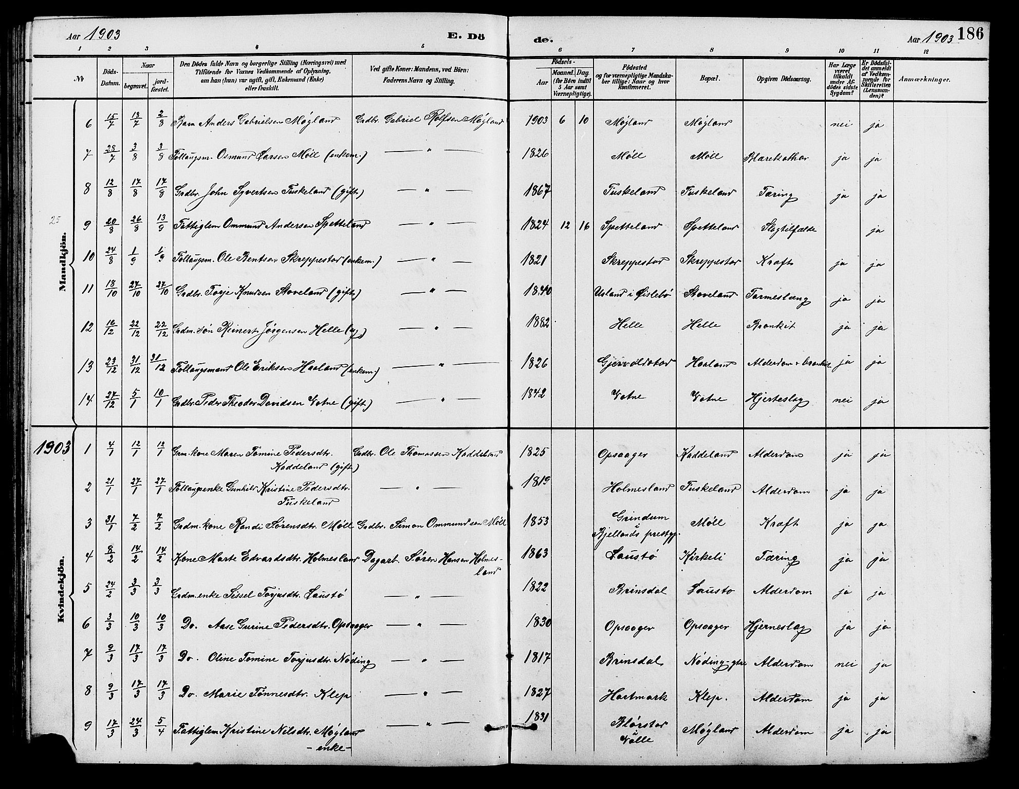 Holum sokneprestkontor, AV/SAK-1111-0022/F/Fb/Fba/L0005: Klokkerbok nr. B 5, 1891-1909, s. 186