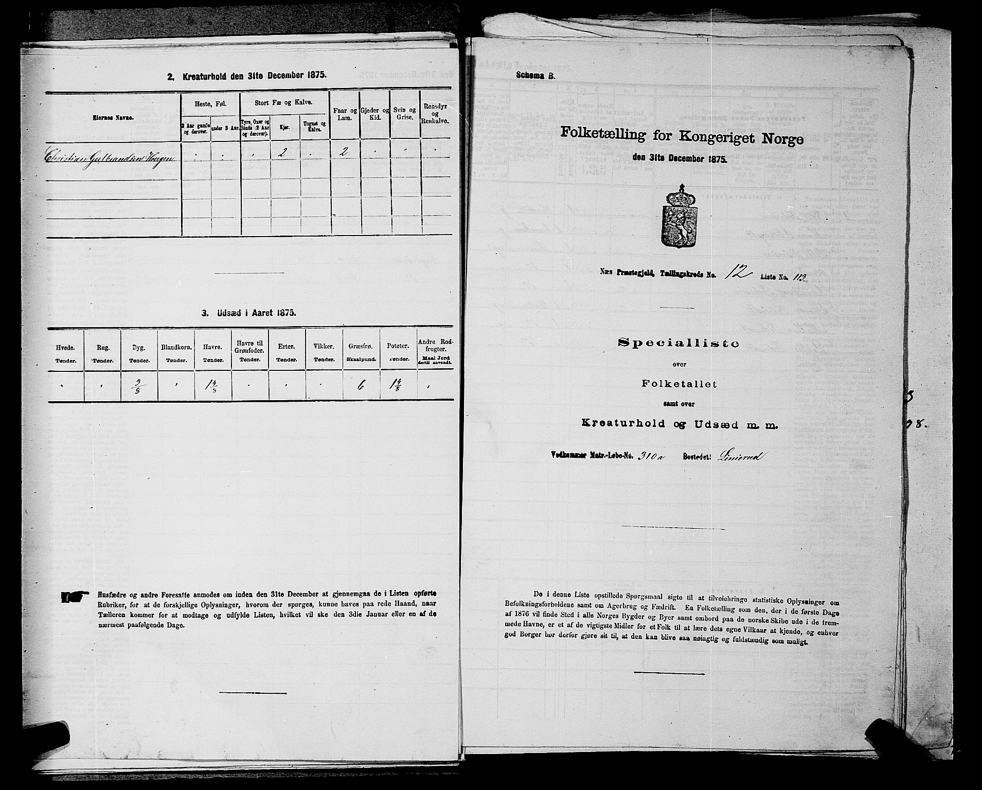RA, Folketelling 1875 for 0236P Nes prestegjeld, 1875, s. 2267