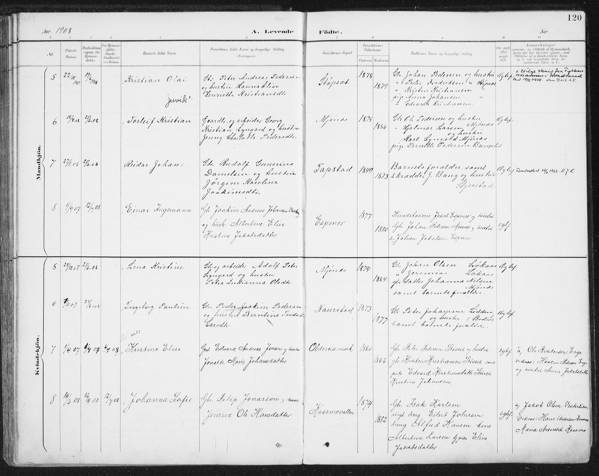 Ministerialprotokoller, klokkerbøker og fødselsregistre - Nordland, SAT/A-1459/852/L0741: Ministerialbok nr. 852A11, 1894-1917, s. 120