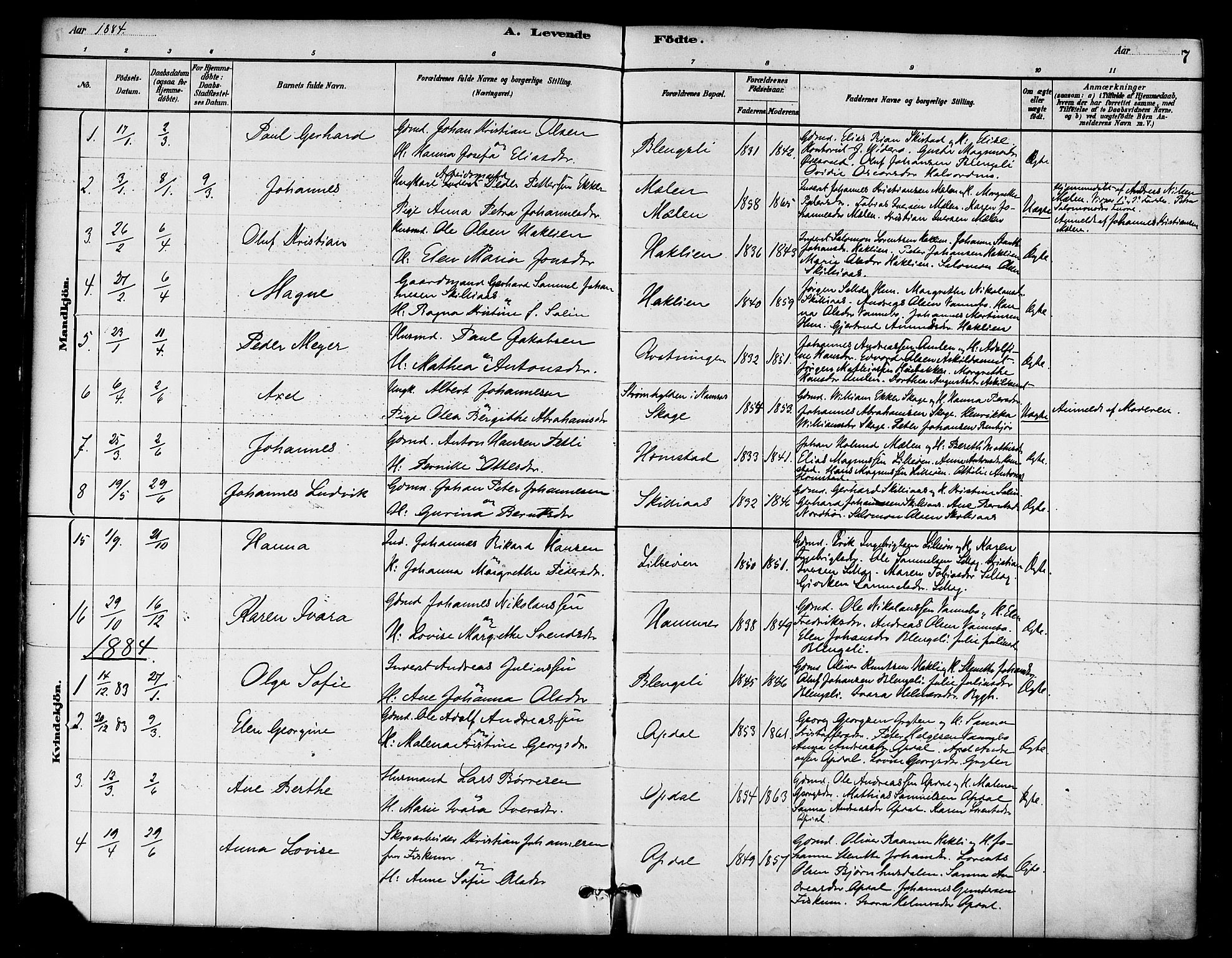 Ministerialprotokoller, klokkerbøker og fødselsregistre - Nord-Trøndelag, AV/SAT-A-1458/766/L0563: Ministerialbok nr. 767A01, 1881-1899, s. 7
