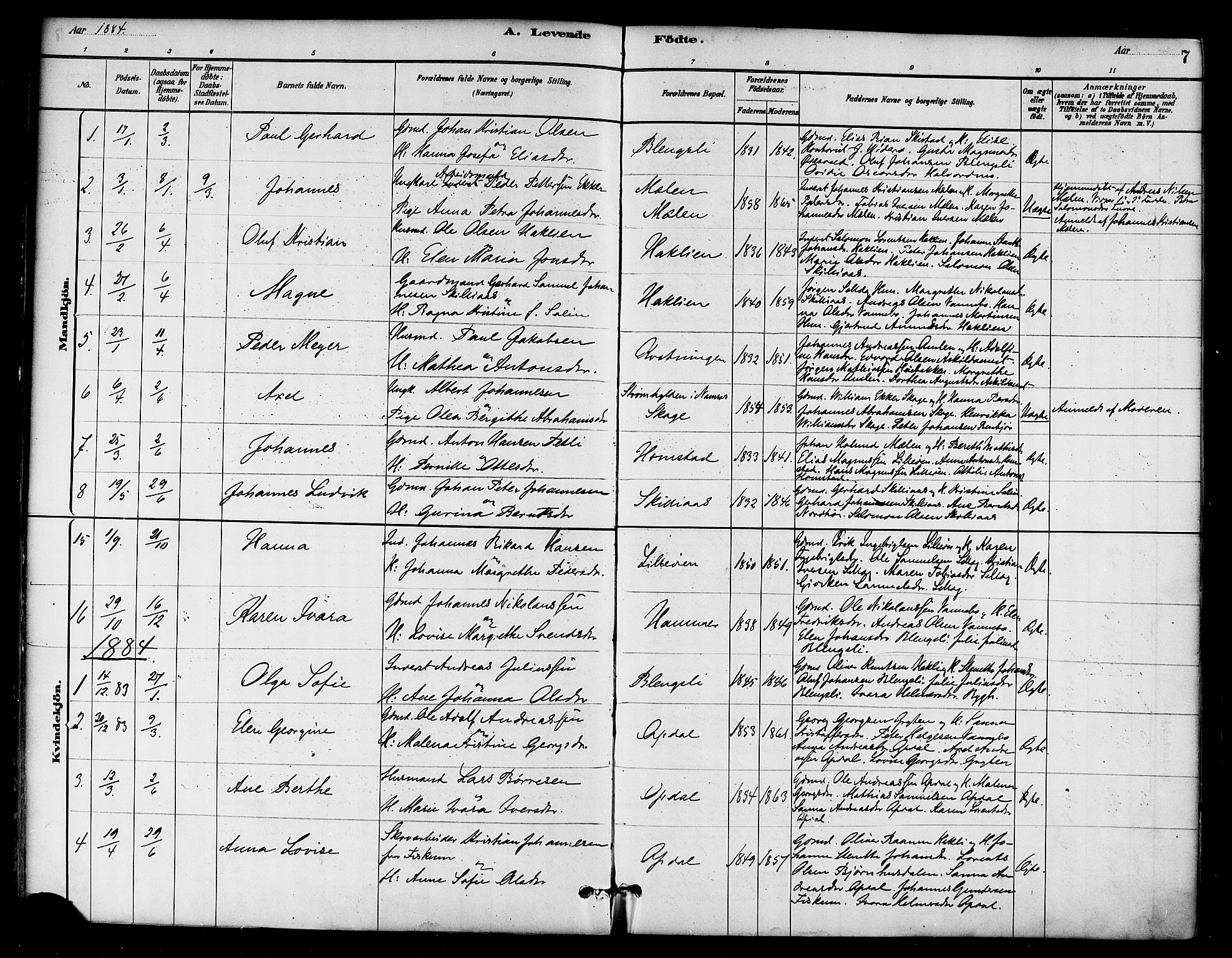 Ministerialprotokoller, klokkerbøker og fødselsregistre - Nord-Trøndelag, SAT/A-1458/766/L0563: Ministerialbok nr. 767A01, 1881-1899, s. 7