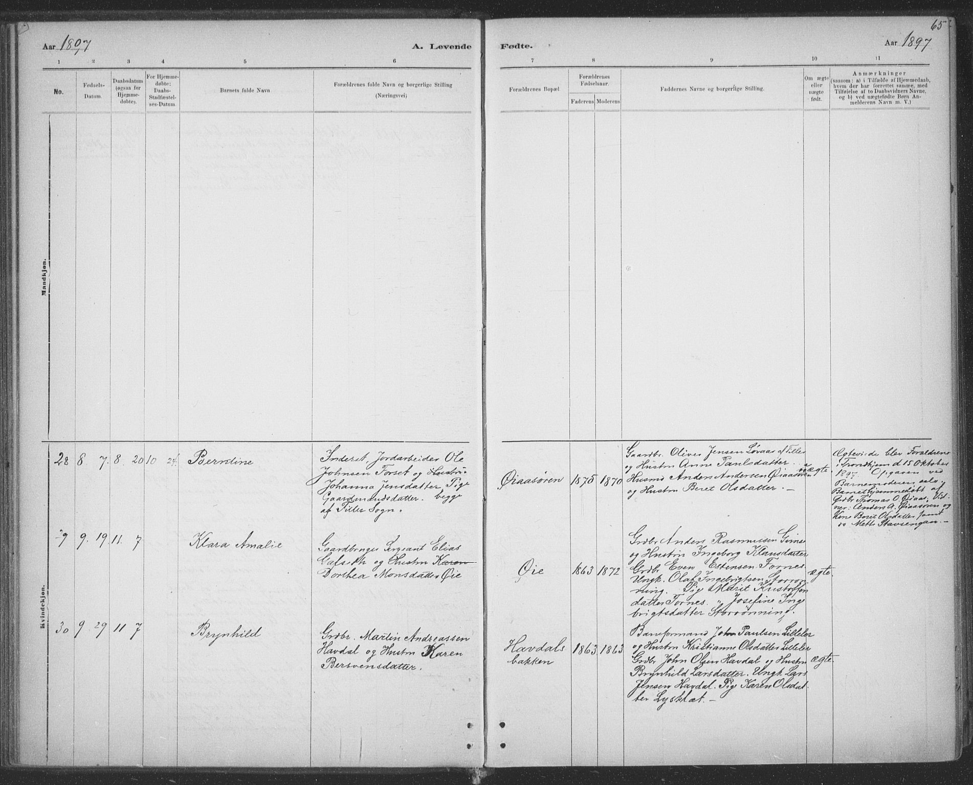 Ministerialprotokoller, klokkerbøker og fødselsregistre - Sør-Trøndelag, SAT/A-1456/691/L1085: Ministerialbok nr. 691A17, 1887-1908, s. 65