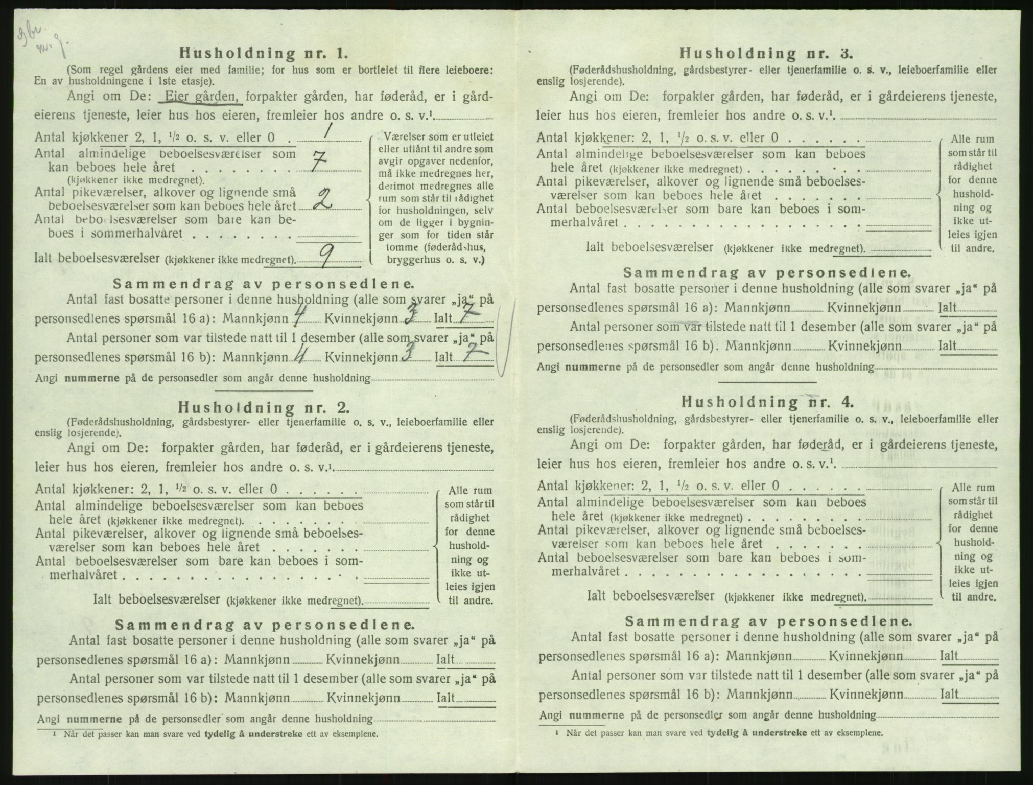 SAK, Folketelling 1920 for 0936 Hornnes herred, 1920, s. 314