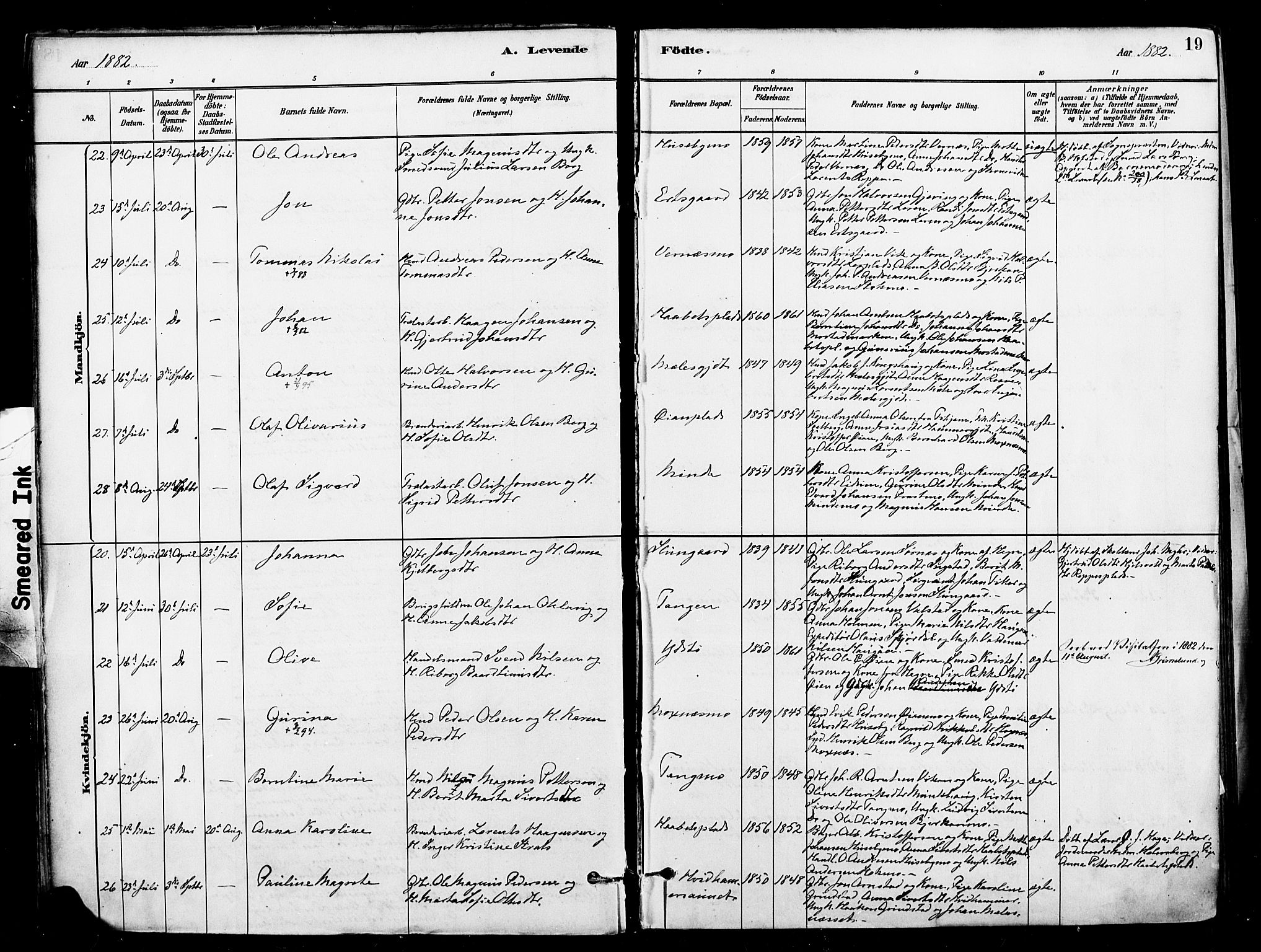 Ministerialprotokoller, klokkerbøker og fødselsregistre - Nord-Trøndelag, AV/SAT-A-1458/709/L0077: Ministerialbok nr. 709A17, 1880-1895, s. 19