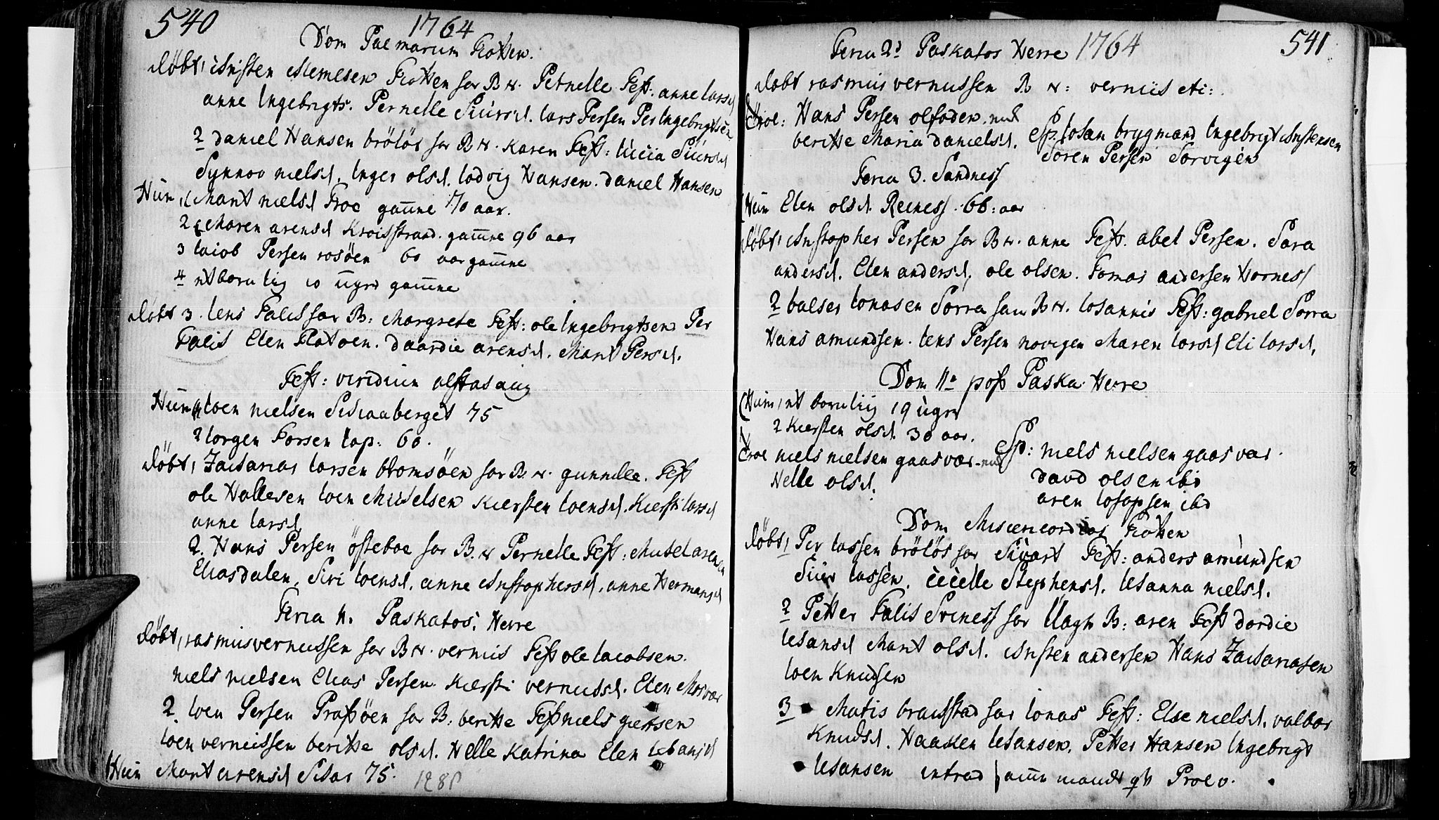 Ministerialprotokoller, klokkerbøker og fødselsregistre - Nordland, AV/SAT-A-1459/830/L0434: Ministerialbok nr. 830A03, 1737-1767, s. 540-541