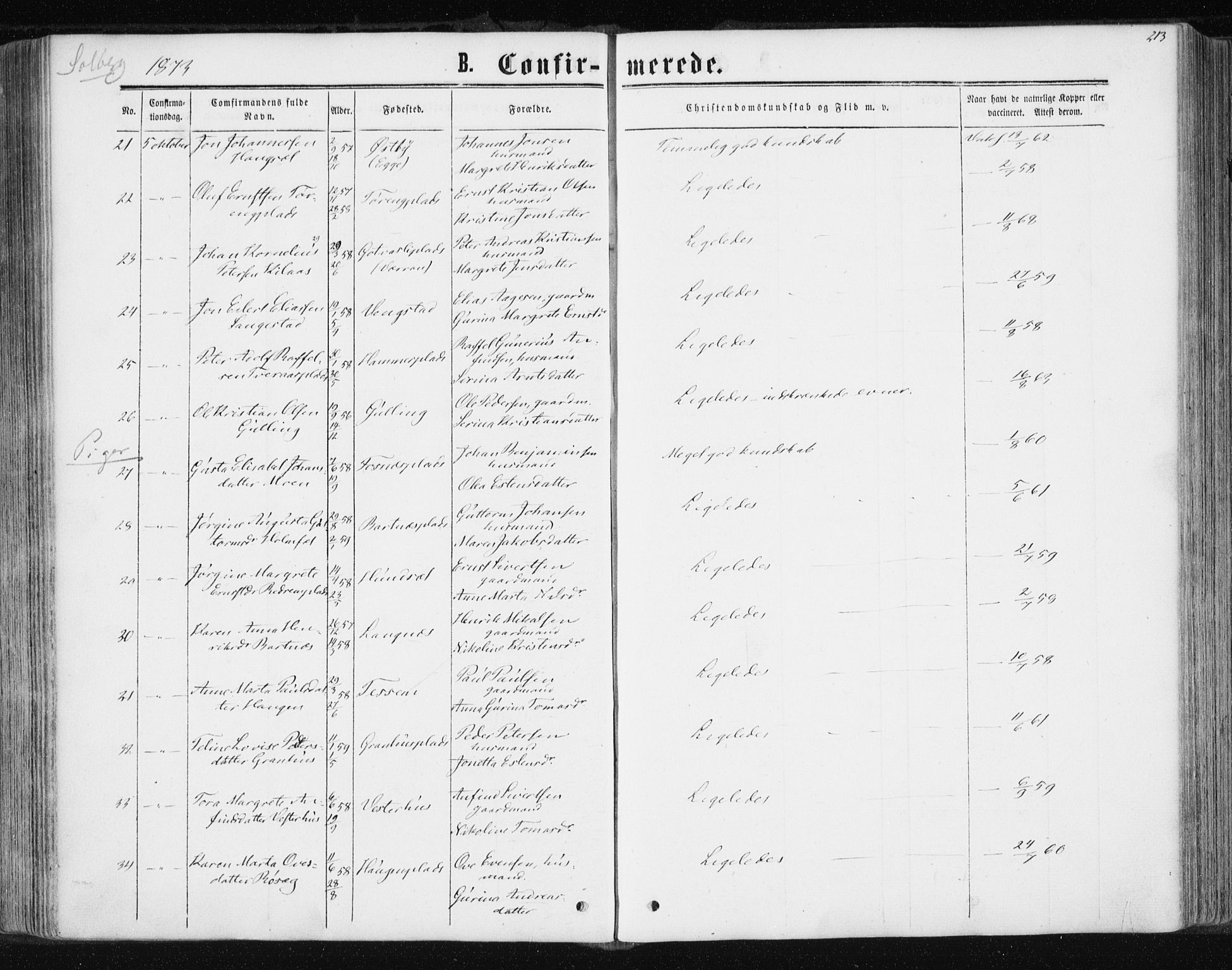 Ministerialprotokoller, klokkerbøker og fødselsregistre - Nord-Trøndelag, SAT/A-1458/741/L0394: Ministerialbok nr. 741A08, 1864-1877, s. 213