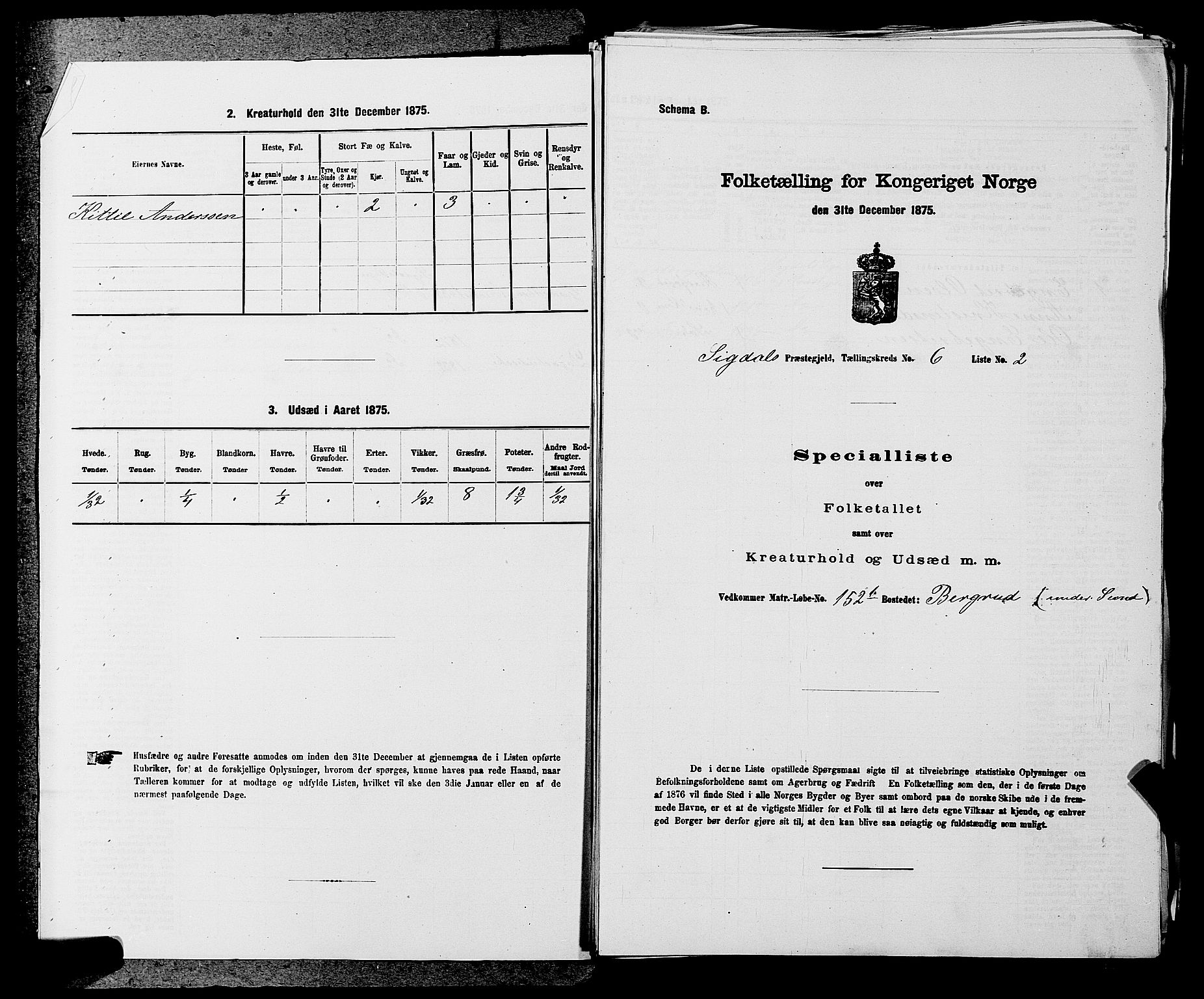 SAKO, Folketelling 1875 for 0621P Sigdal prestegjeld, 1875, s. 853