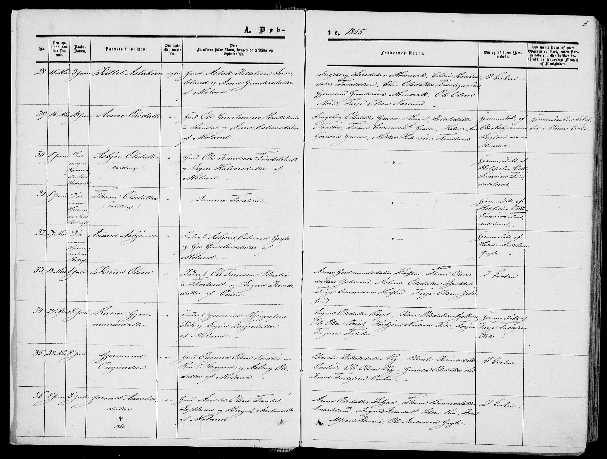 Fyresdal kirkebøker, AV/SAKO-A-263/F/Fa/L0005: Ministerialbok nr. I 5, 1855-1871, s. 5
