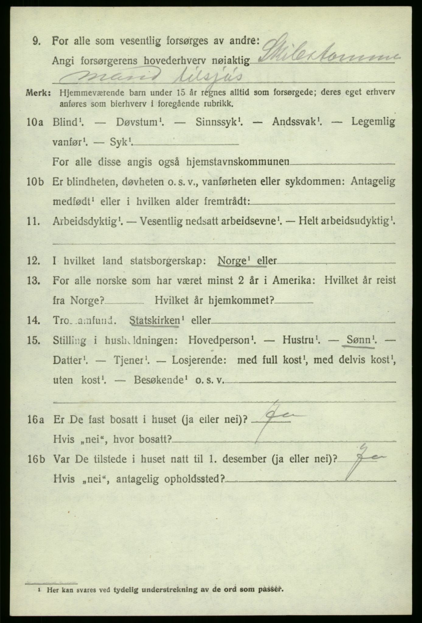 SAO, Folketelling 1920 for 0111 Hvaler herred, 1920, s. 2409