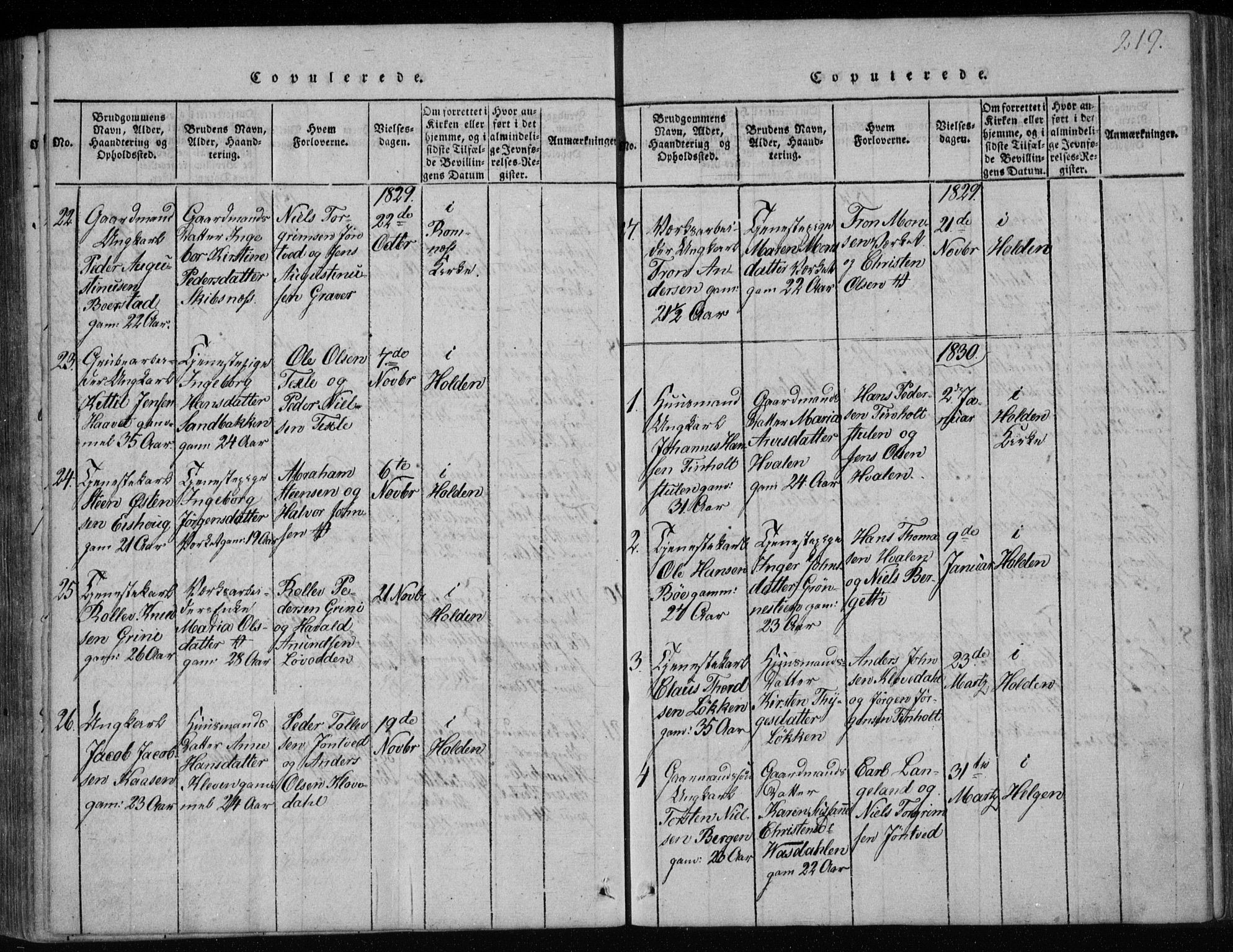 Holla kirkebøker, AV/SAKO-A-272/F/Fa/L0003: Ministerialbok nr. 3, 1815-1830, s. 219