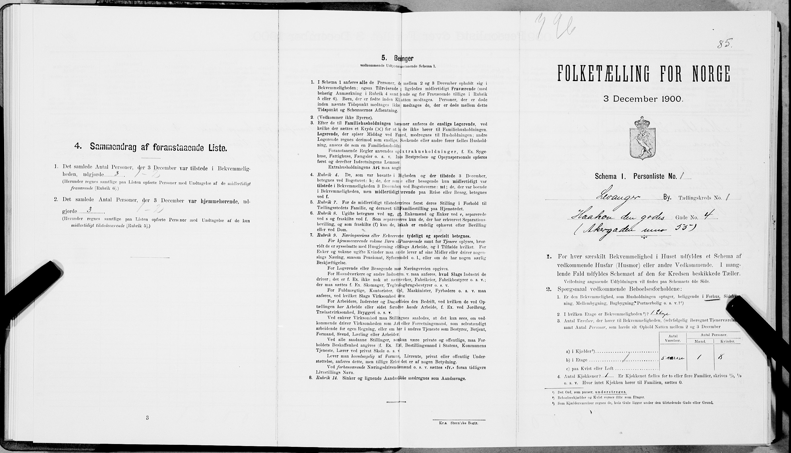 SAT, Folketelling 1900 for 1701 Levanger kjøpstad, 1900, s. 95
