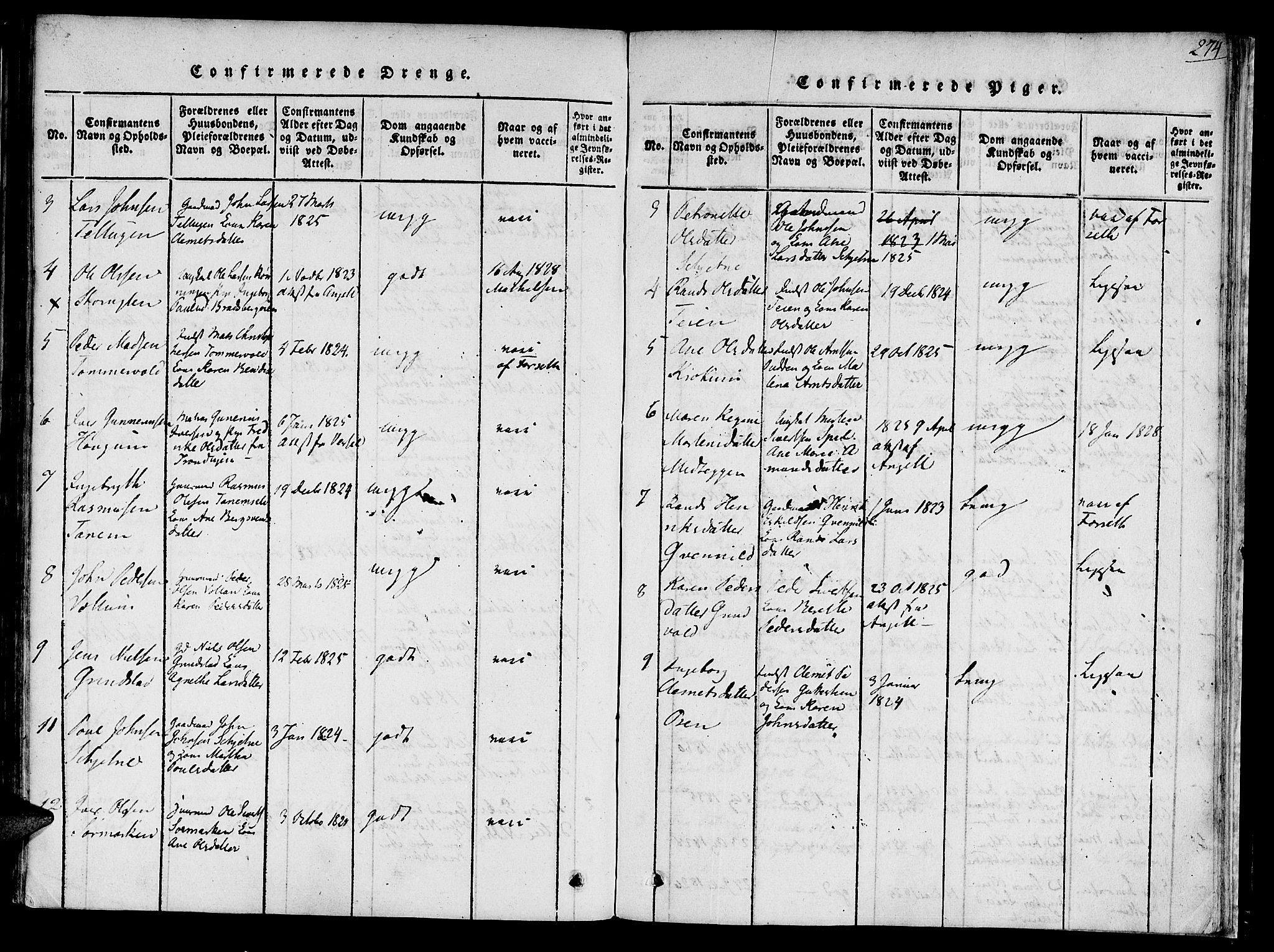 Ministerialprotokoller, klokkerbøker og fødselsregistre - Sør-Trøndelag, AV/SAT-A-1456/618/L0439: Ministerialbok nr. 618A04 /1, 1816-1843, s. 274