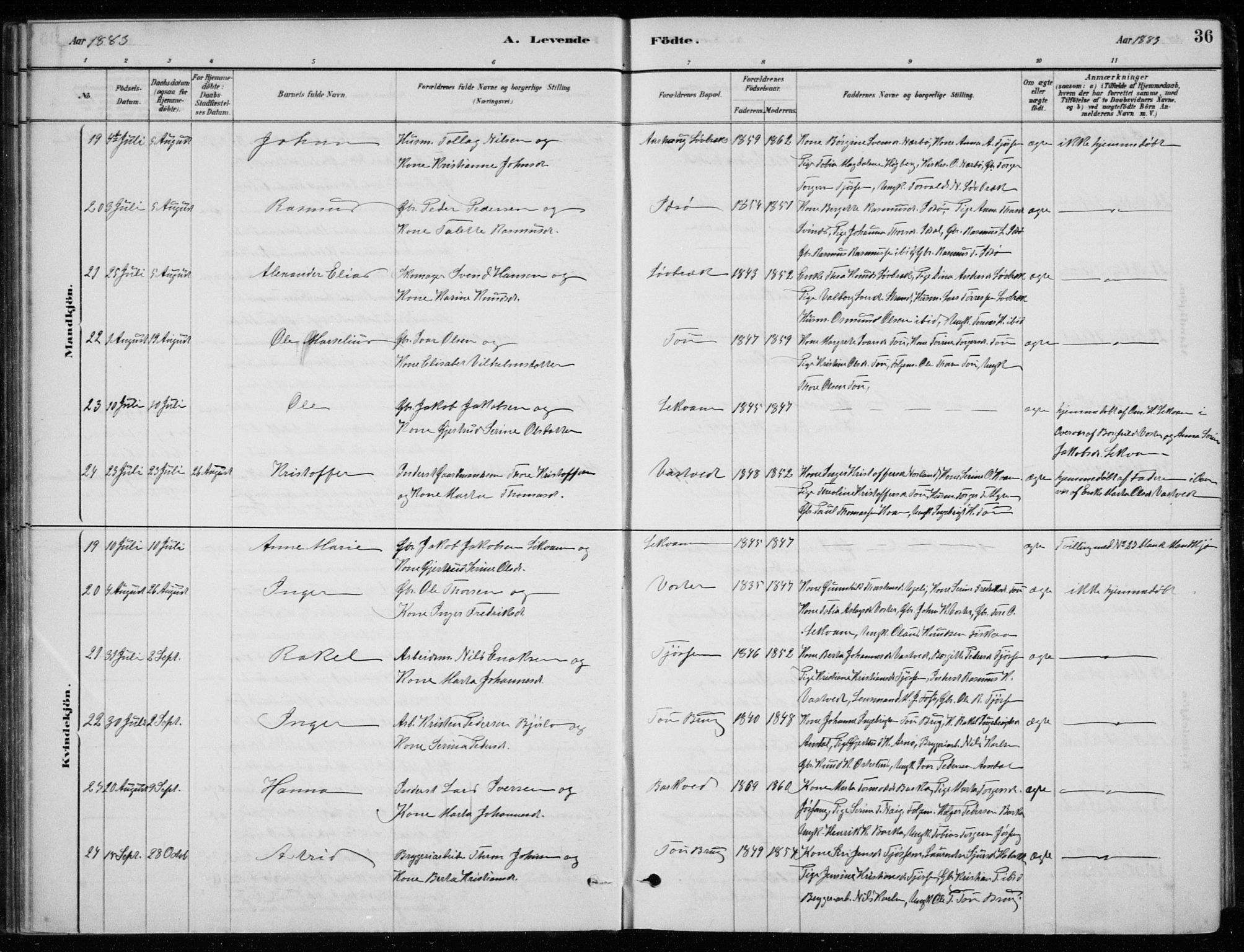 Strand sokneprestkontor, AV/SAST-A-101828/H/Ha/Hab/L0004: Klokkerbok nr. B 4, 1878-1903, s. 36