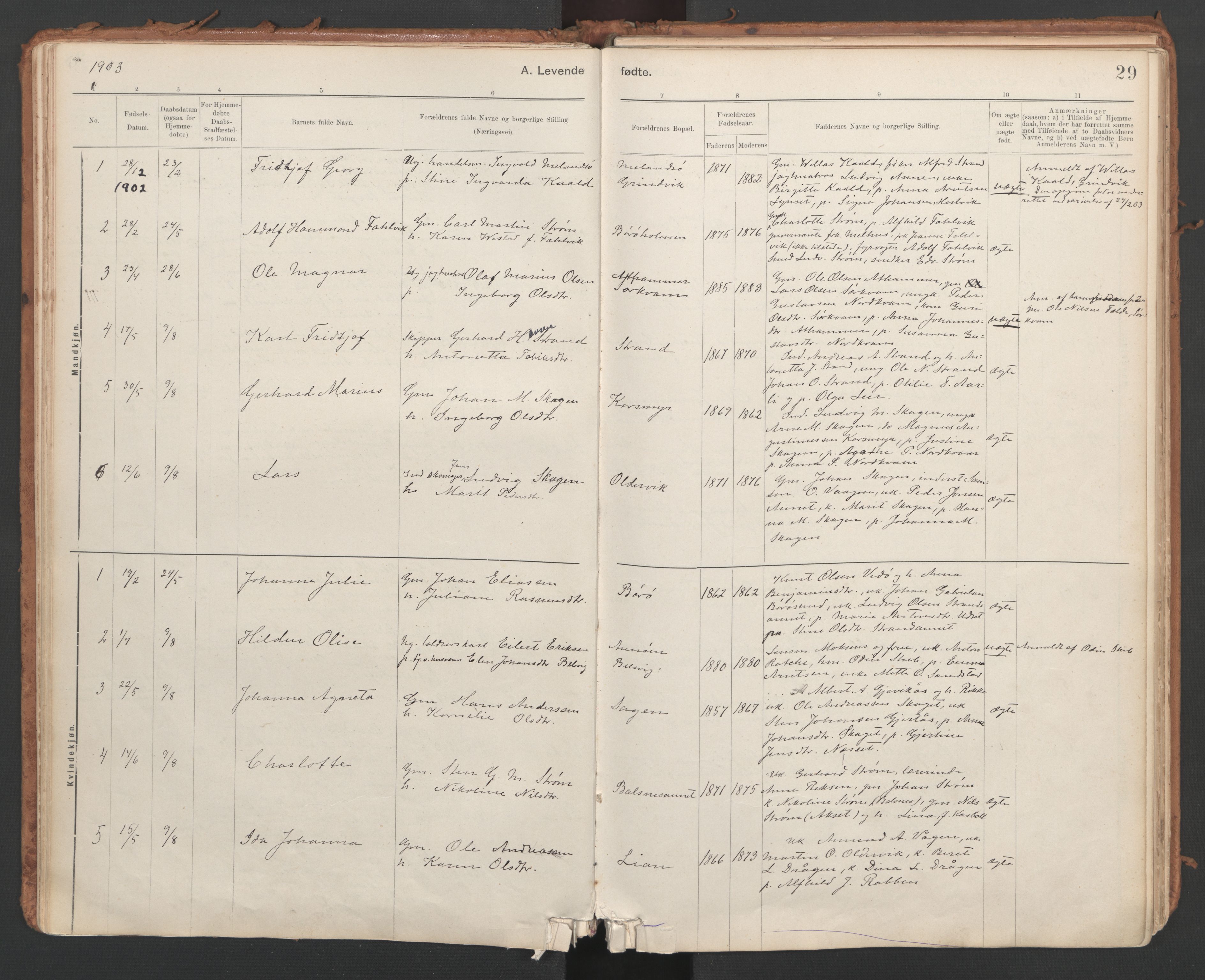 Ministerialprotokoller, klokkerbøker og fødselsregistre - Sør-Trøndelag, SAT/A-1456/639/L0572: Ministerialbok nr. 639A01, 1890-1920, s. 29