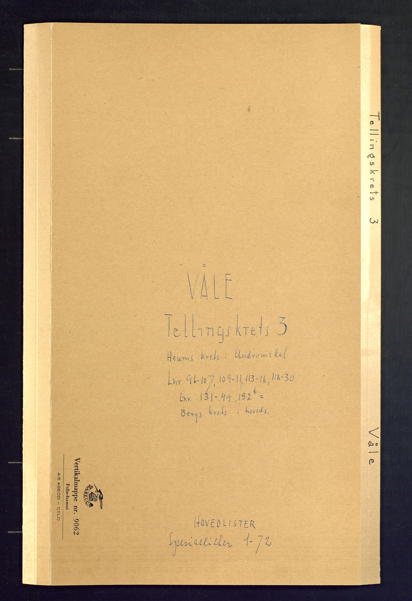 SAKO, Folketelling 1875 for 0716P Våle prestegjeld, 1875, s. 9