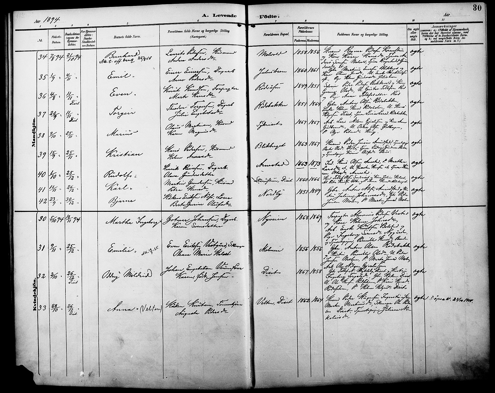 Åmot prestekontor, Hedmark, AV/SAH-PREST-056/H/Ha/Haa/L0011: Ministerialbok nr. 11, 1890-1897, s. 30