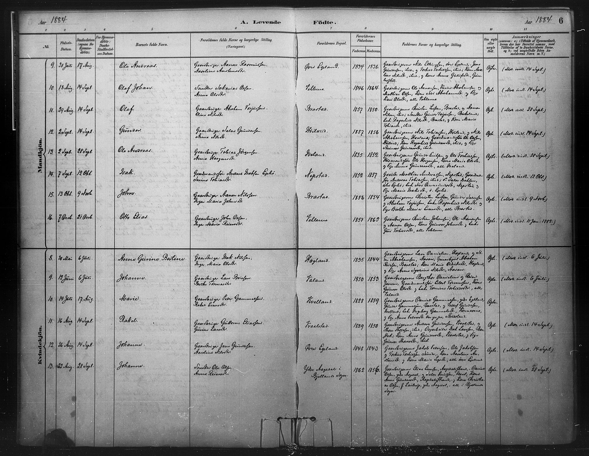 Nord-Audnedal sokneprestkontor, AV/SAK-1111-0032/F/Fa/Faa/L0003: Ministerialbok nr. A 3, 1882-1900, s. 6