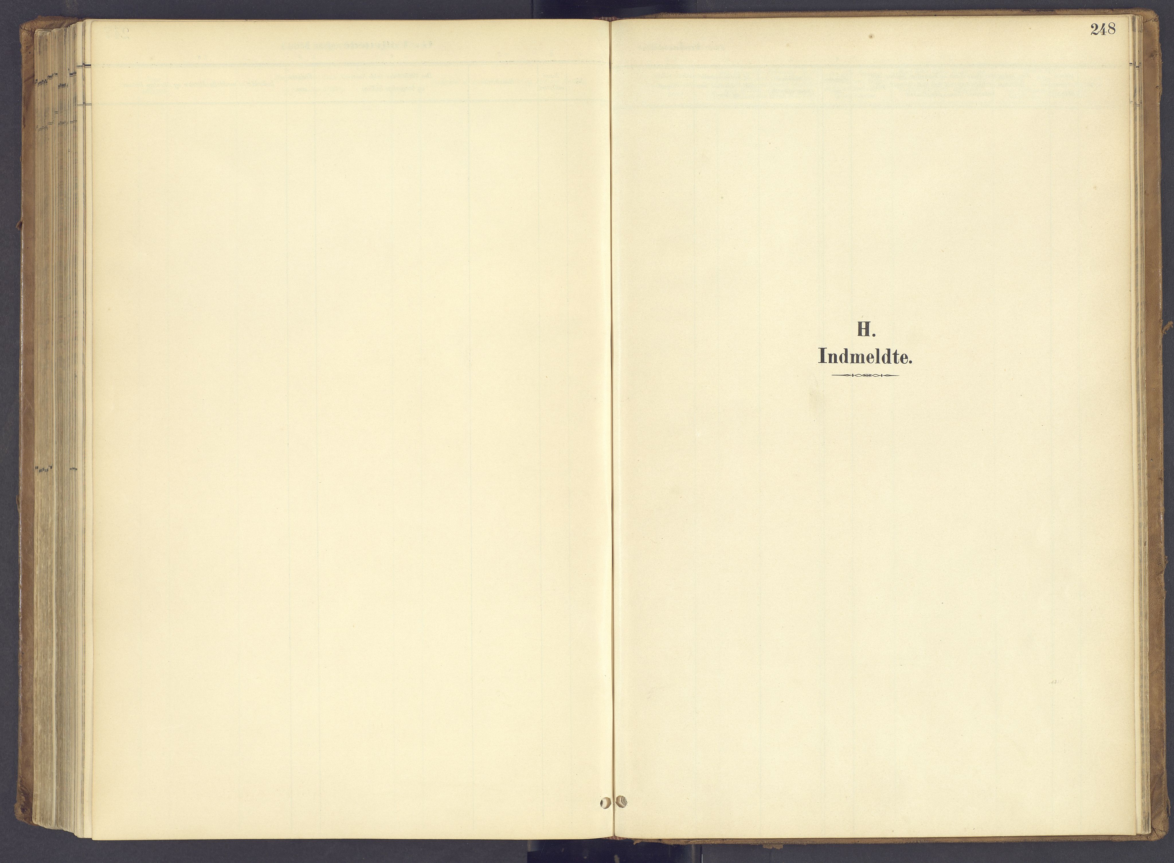 Søndre Land prestekontor, SAH/PREST-122/K/L0006: Ministerialbok nr. 6, 1895-1904, s. 248