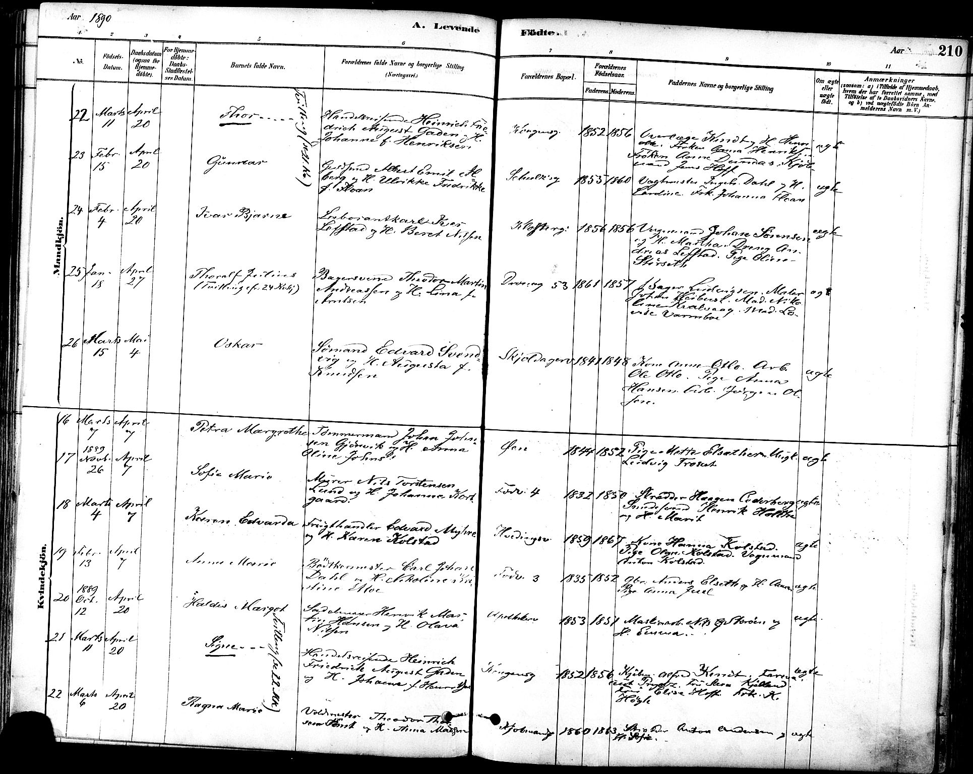 Ministerialprotokoller, klokkerbøker og fødselsregistre - Sør-Trøndelag, SAT/A-1456/601/L0057: Ministerialbok nr. 601A25, 1877-1891, s. 210