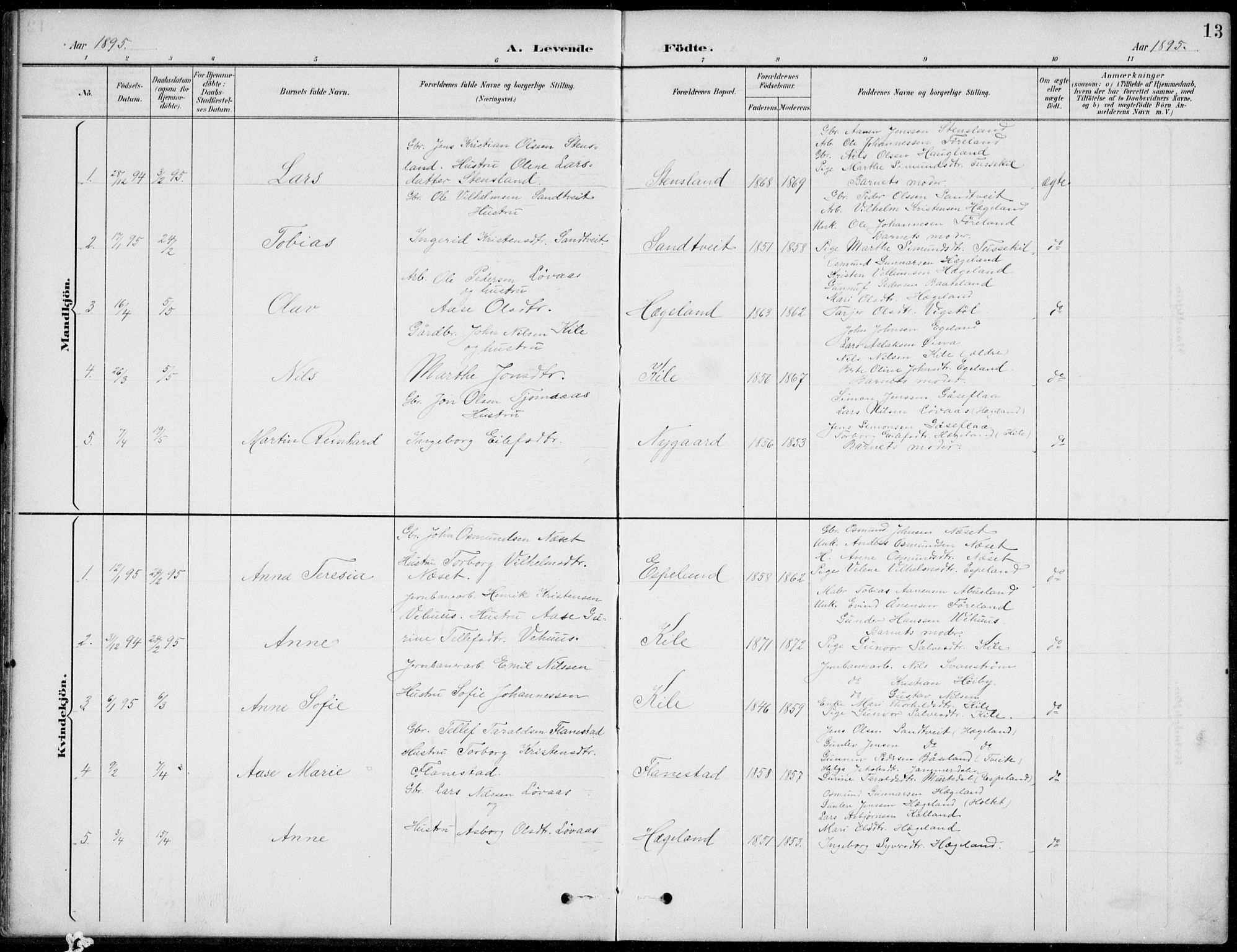 Vennesla sokneprestkontor, AV/SAK-1111-0045/Fb/Fba/L0003: Klokkerbok nr. B 3, 1890-1919, s. 13