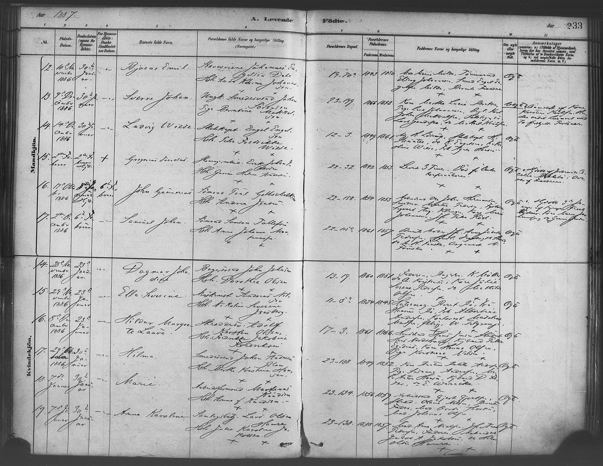 Korskirken sokneprestembete, AV/SAB-A-76101/H/Haa/L0021: Ministerialbok nr. B 7, 1878-1889, s. 233
