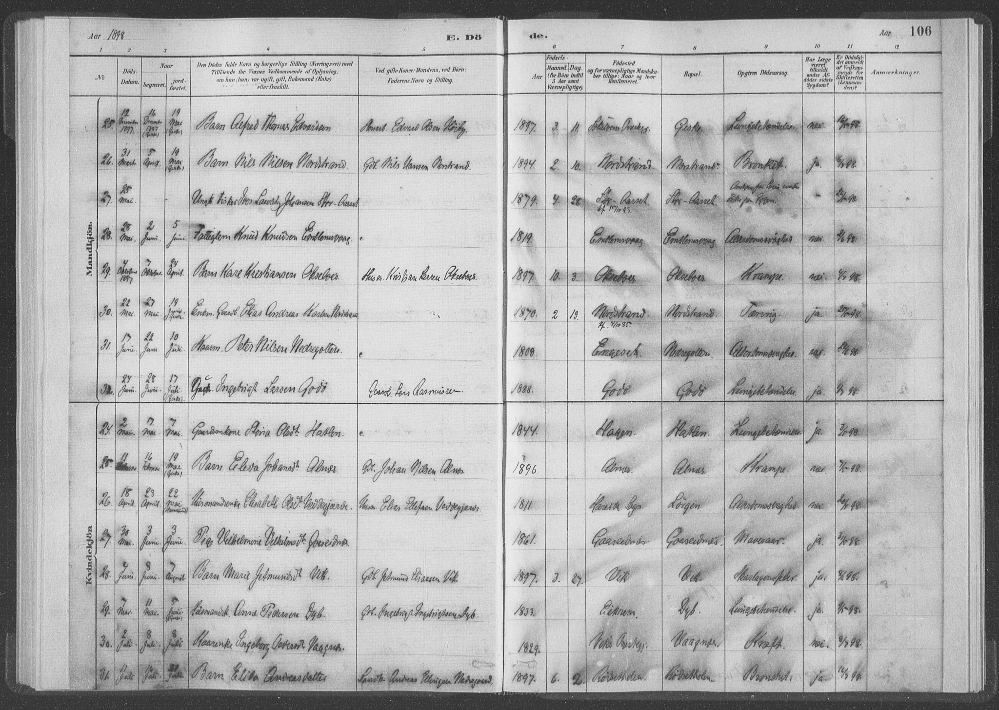 Ministerialprotokoller, klokkerbøker og fødselsregistre - Møre og Romsdal, AV/SAT-A-1454/528/L0403: Ministerialbok nr. 528A13I, 1880-1947, s. 106