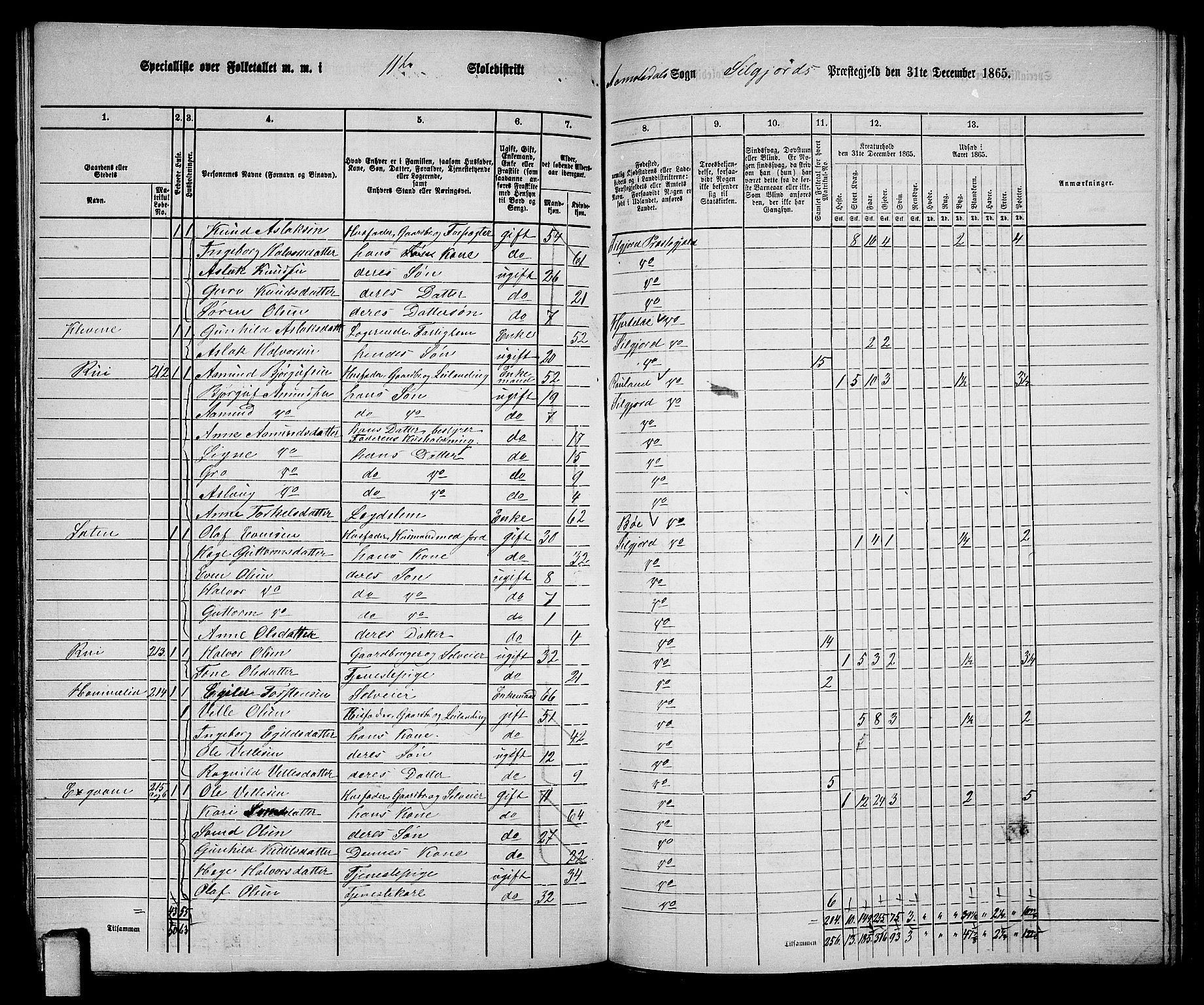 RA, Folketelling 1865 for 0828P Seljord prestegjeld, 1865, s. 153